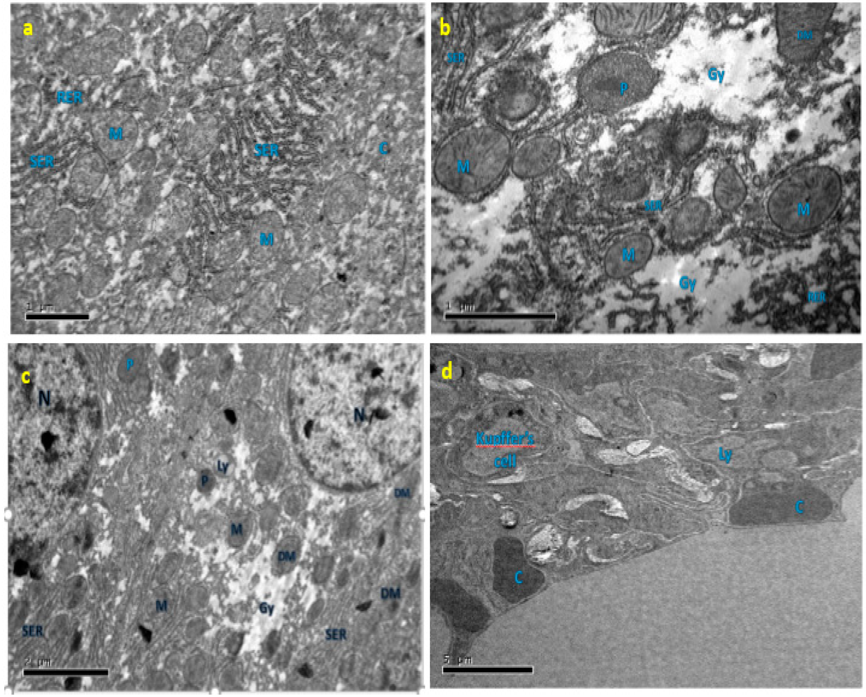 Applsci 09 04821 g007