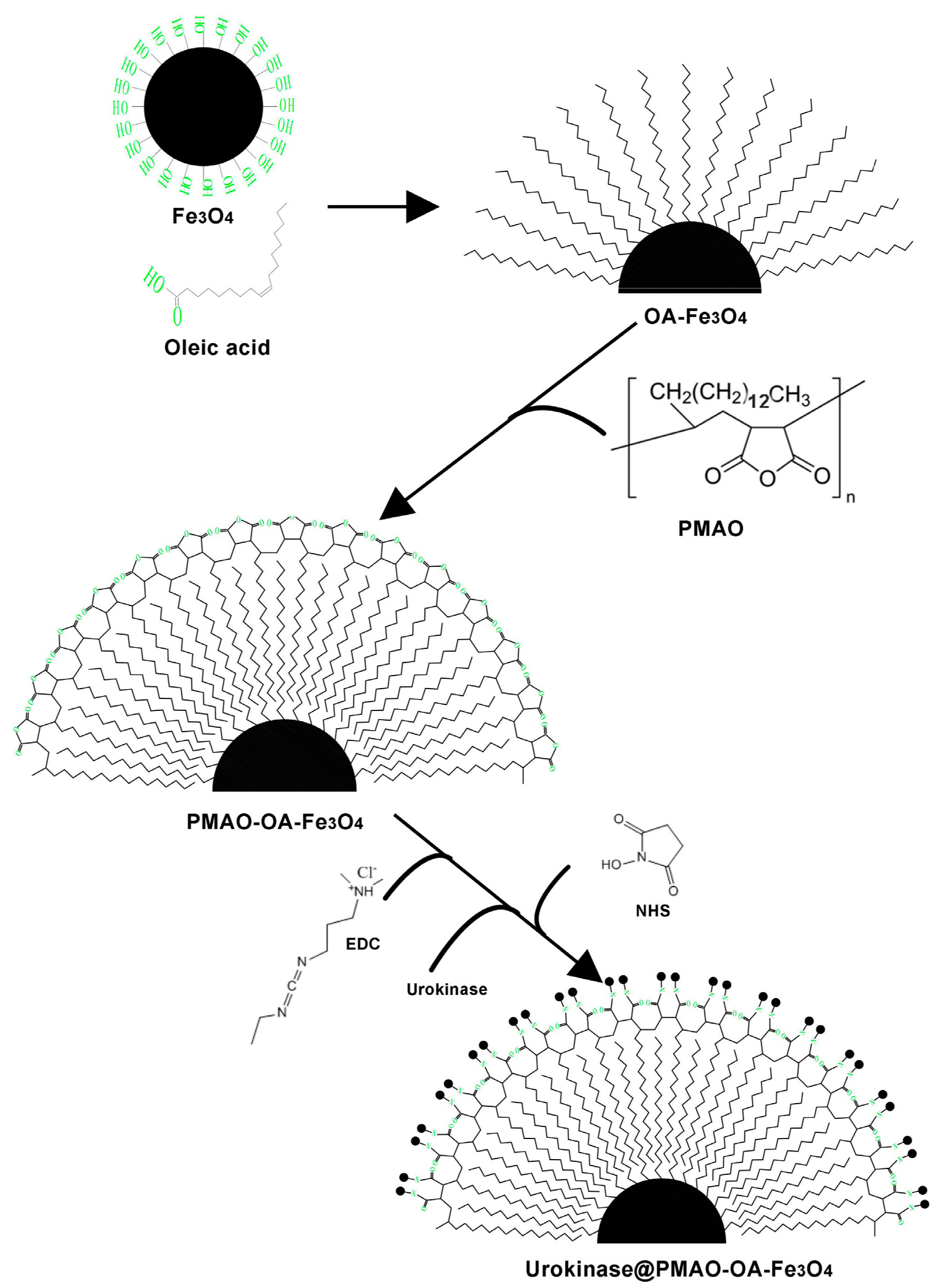 Applsci 09 04862 g001 Applsci 09 04862 g001