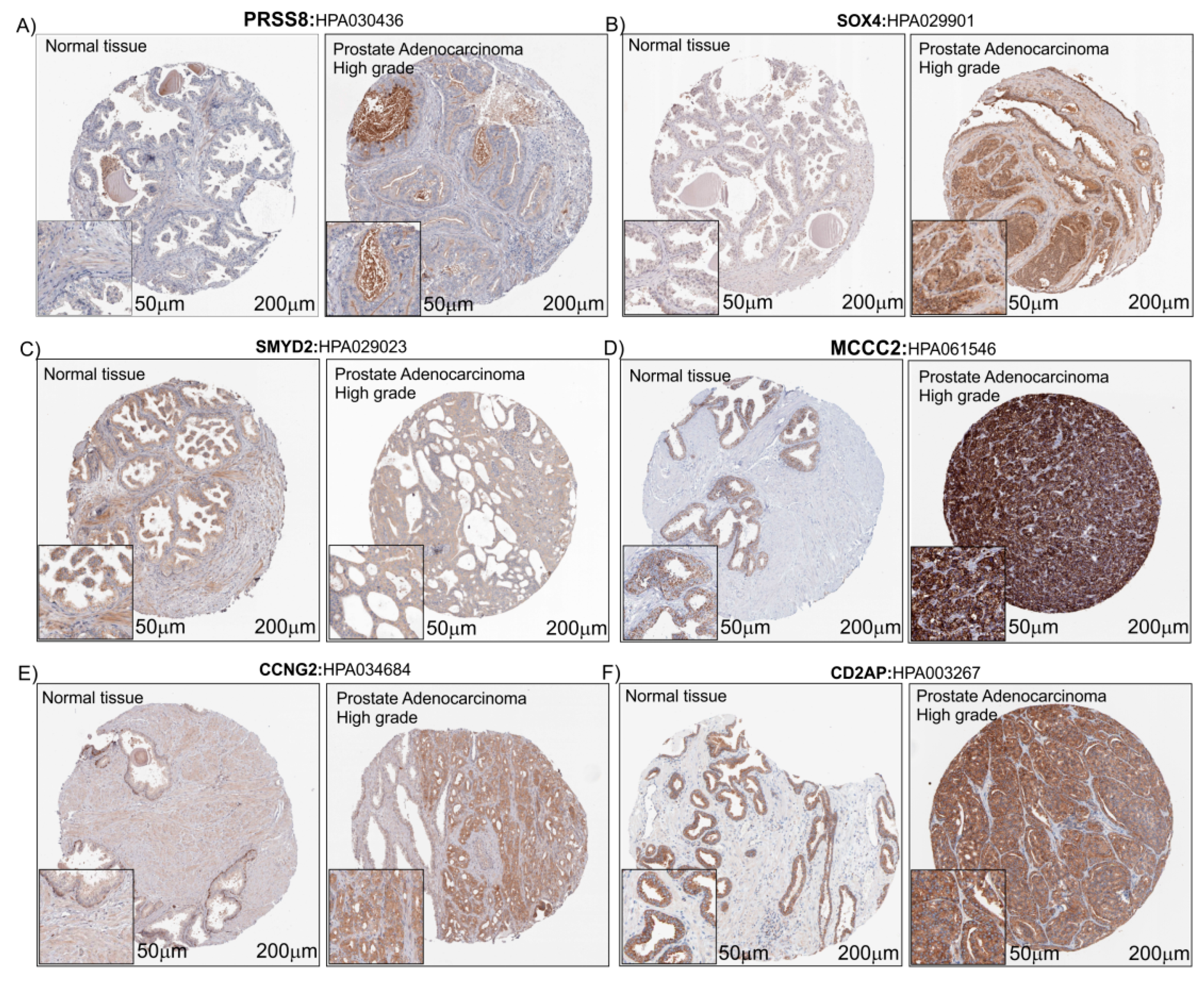 Applsci 09 04923 g007 Applsci 09 04923 g007