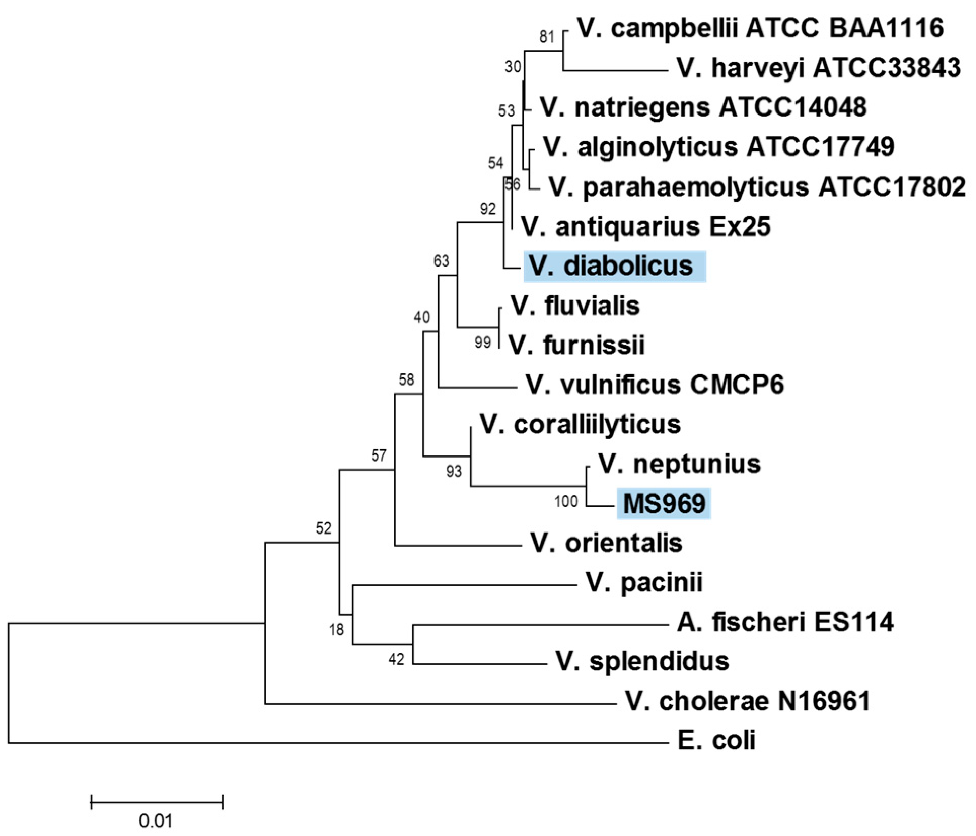 Applsci 09 04971 g002