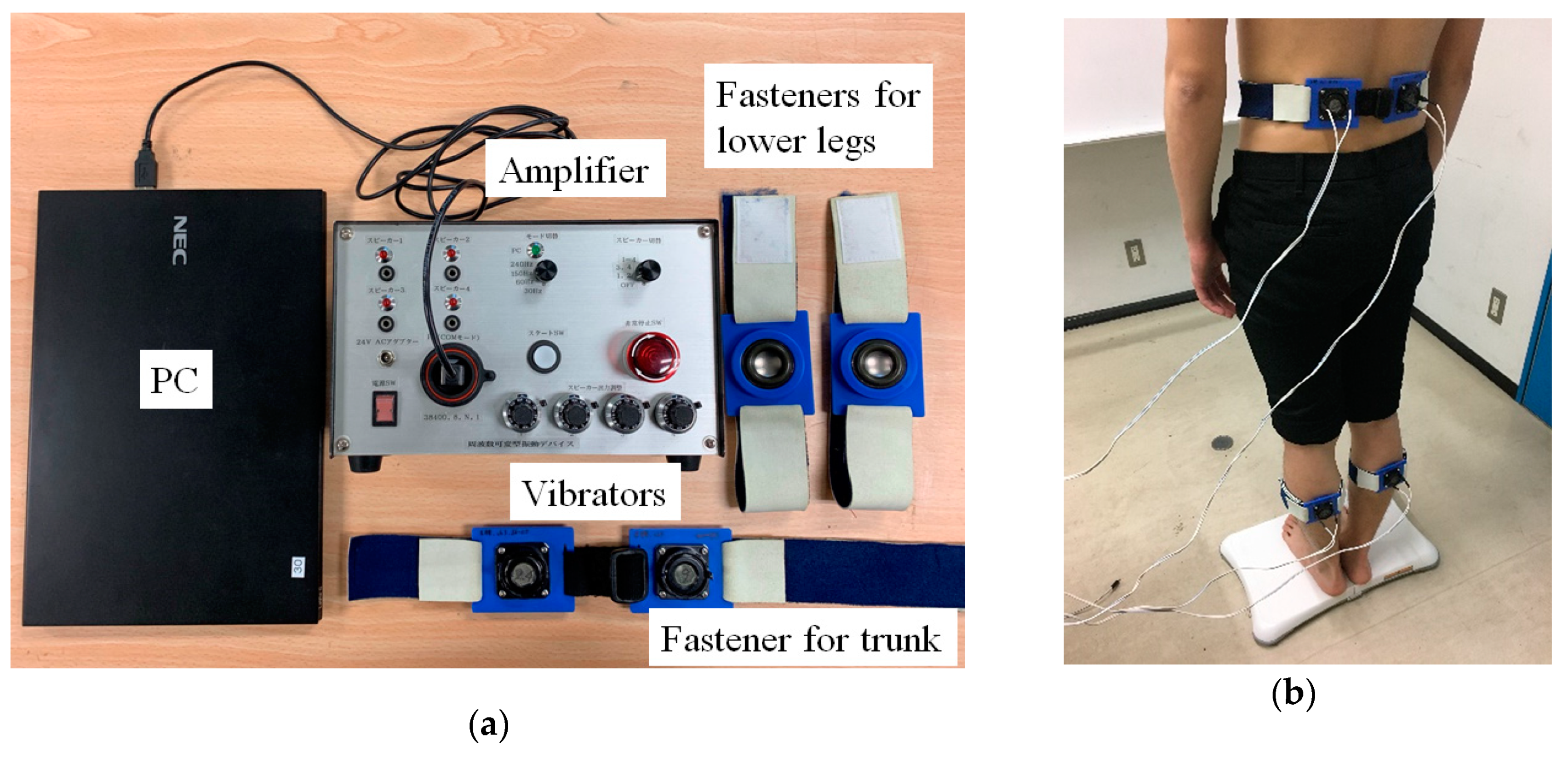 Applsci 09 04988 g001