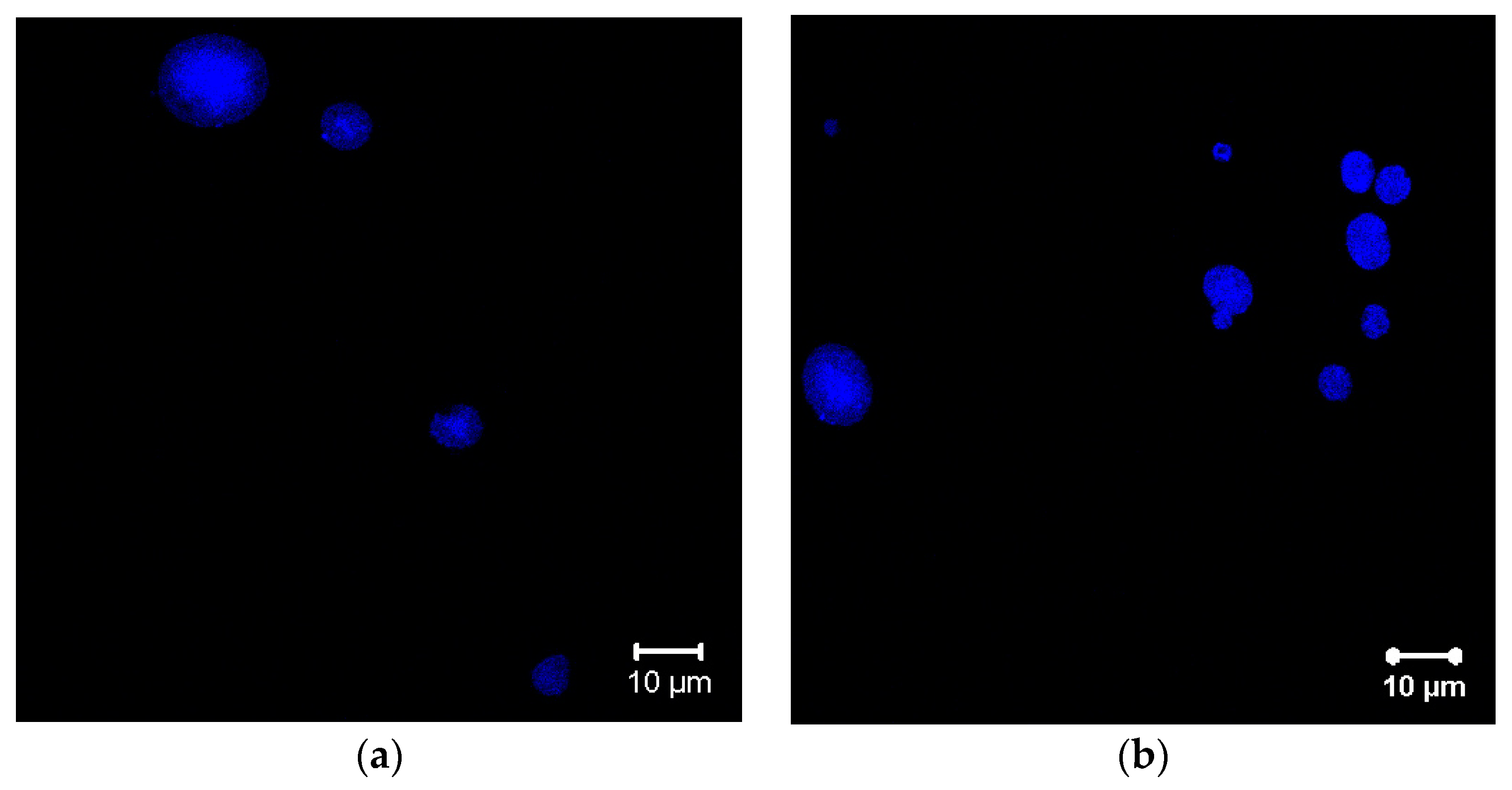 Applsci 09 05041 g007a