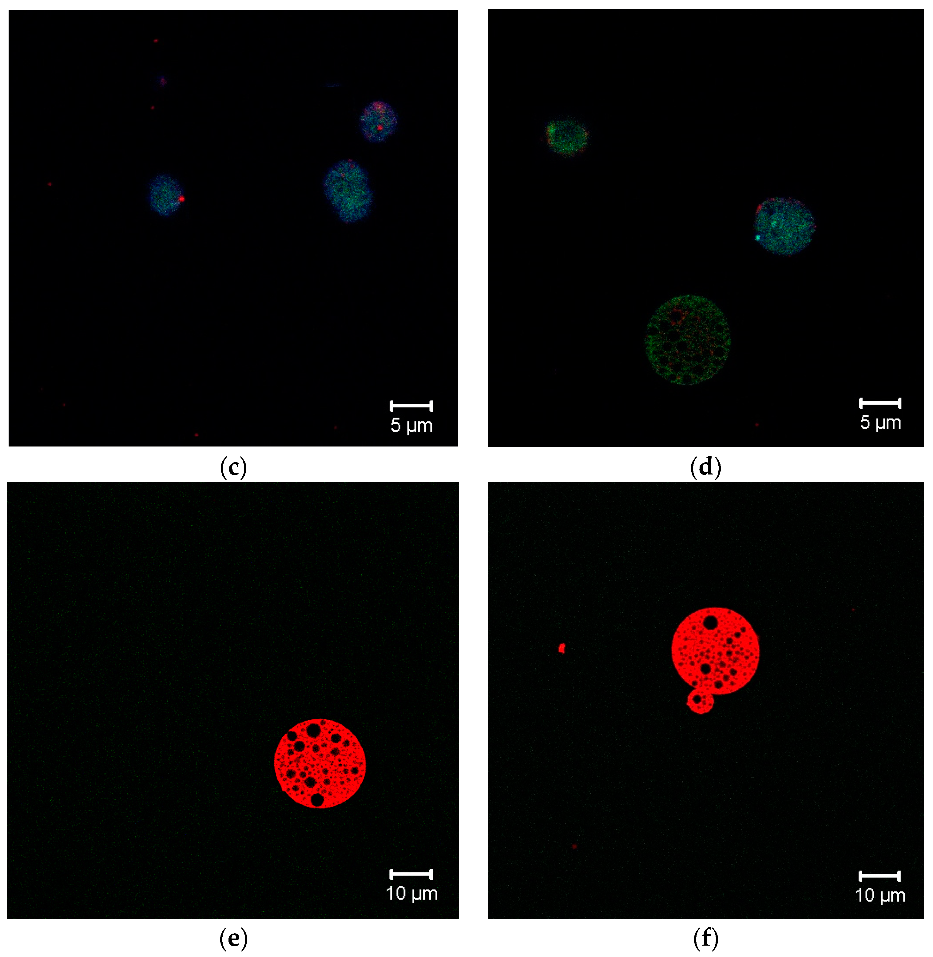 Applsci 09 05041 g007b