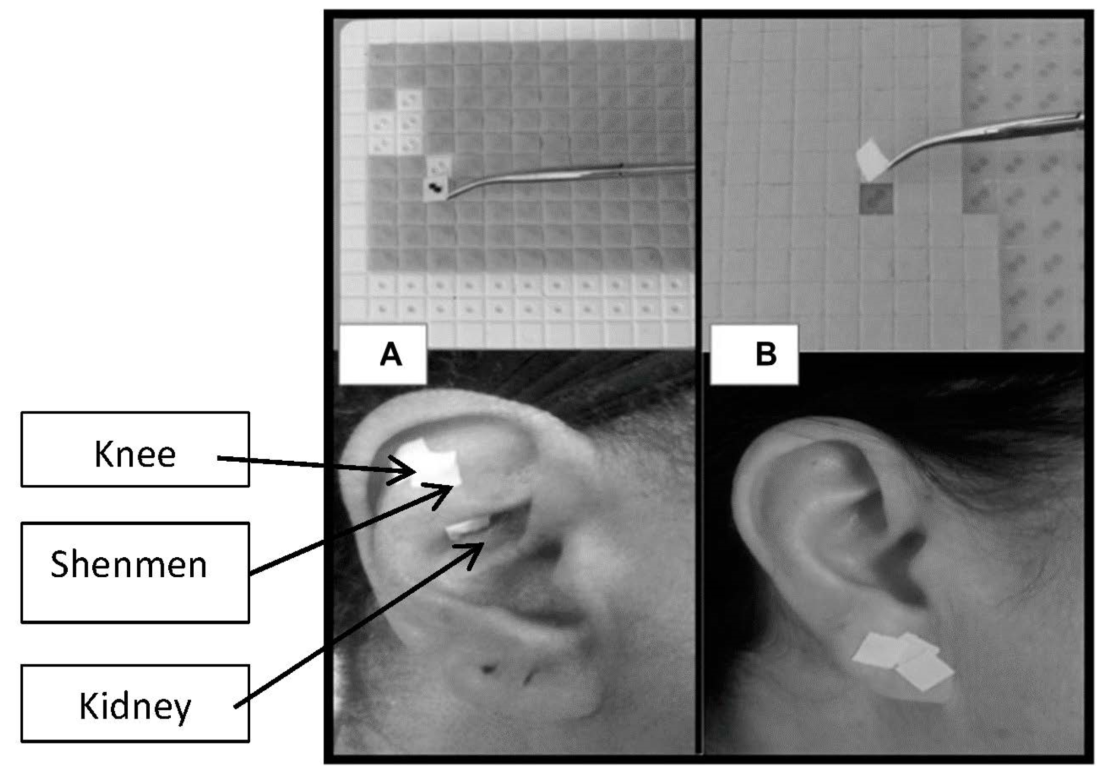 Applsci 09 05194 g002