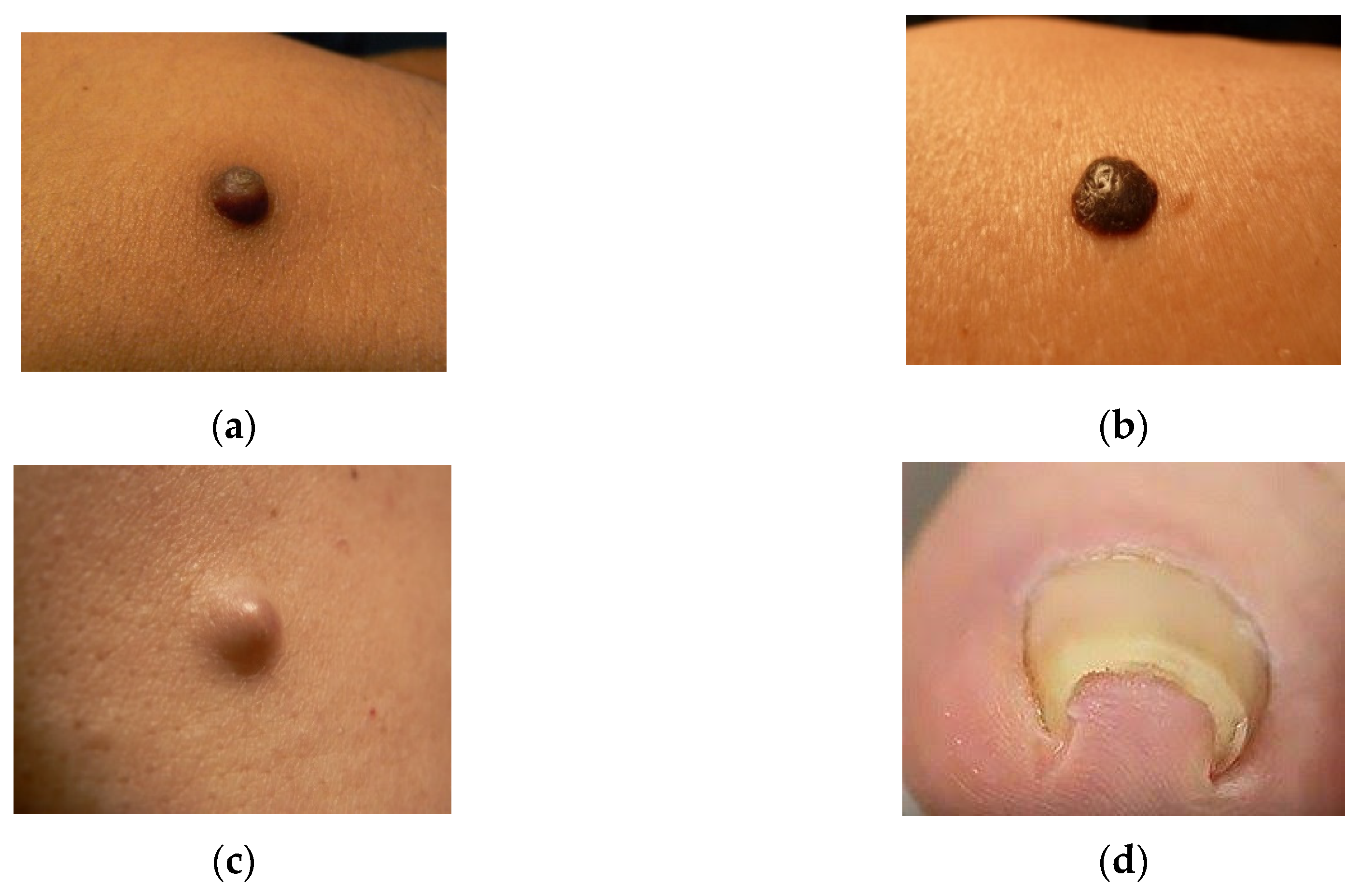 Applsci 09 05212 g002 Applsci 09 05212 g002