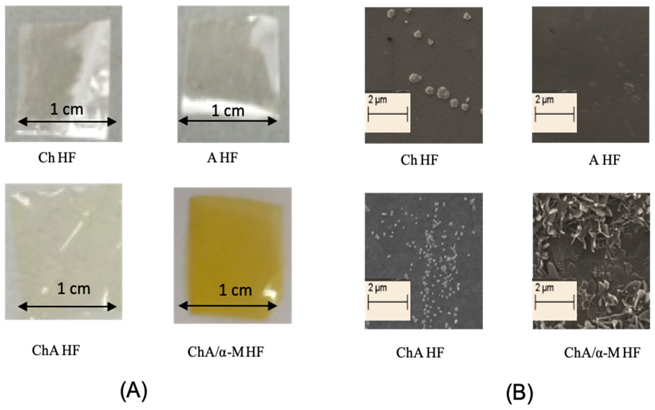 Applsci 09 05235 g002 Applsci 09 05235 g002