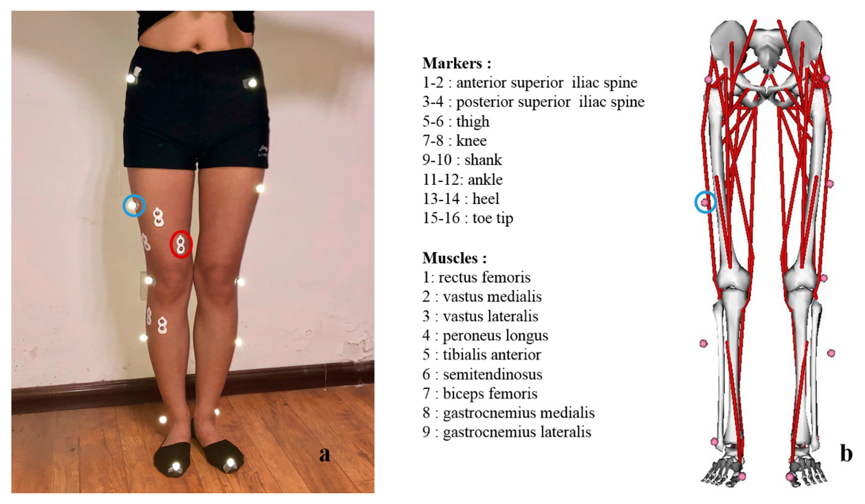 Applsci 09 05245 g001 Applsci 09 05245 g001