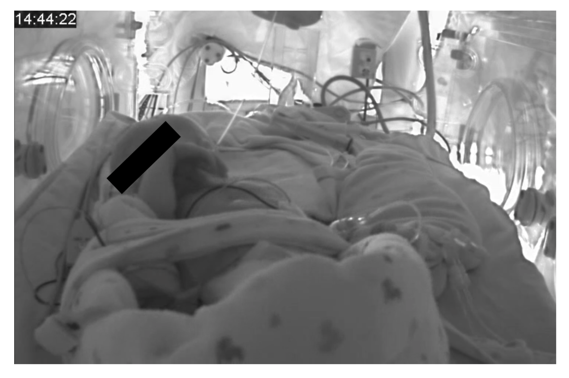 Applsci 09 05246 g001