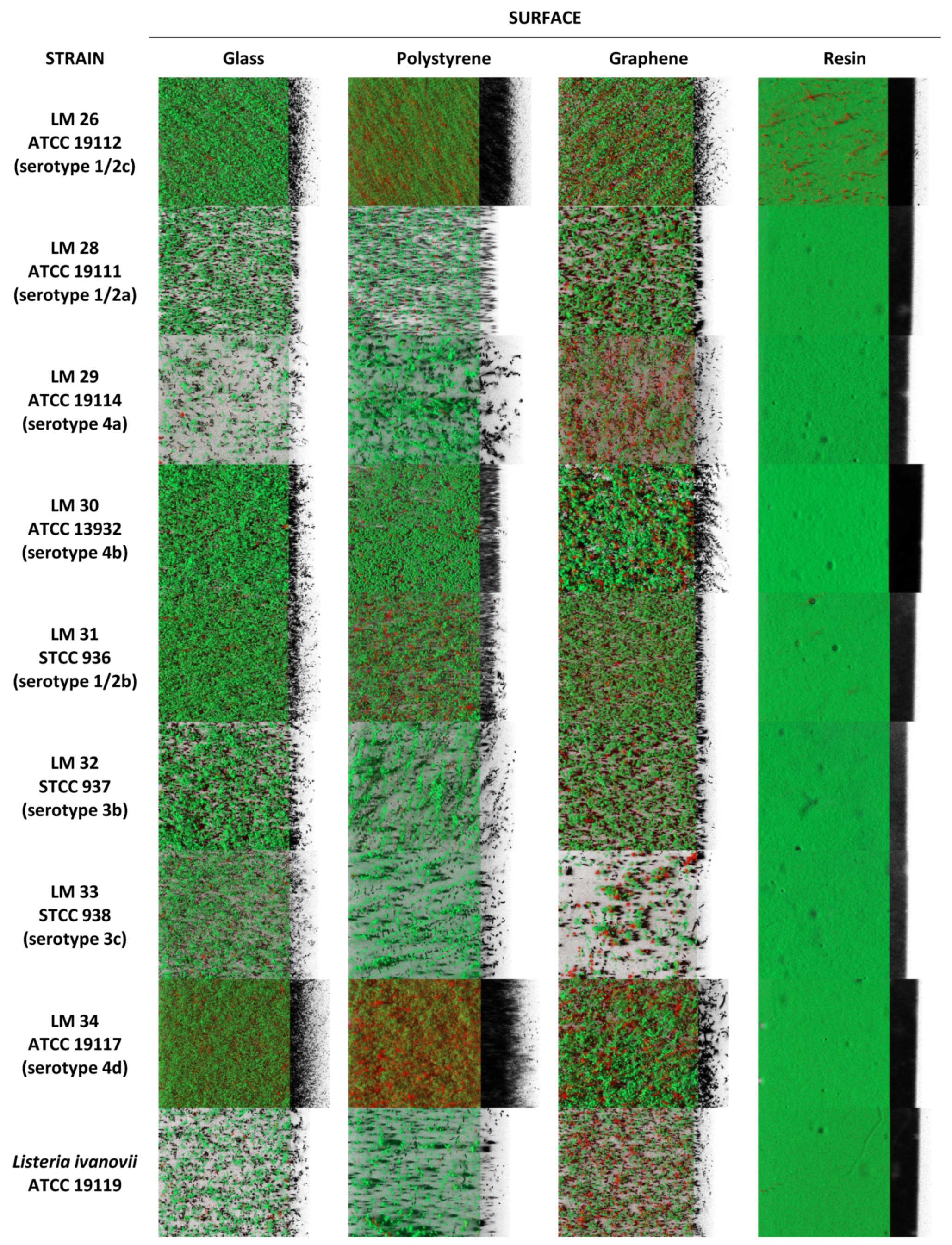 Applsci 09 05256 g001 Applsci 09 05256 g001