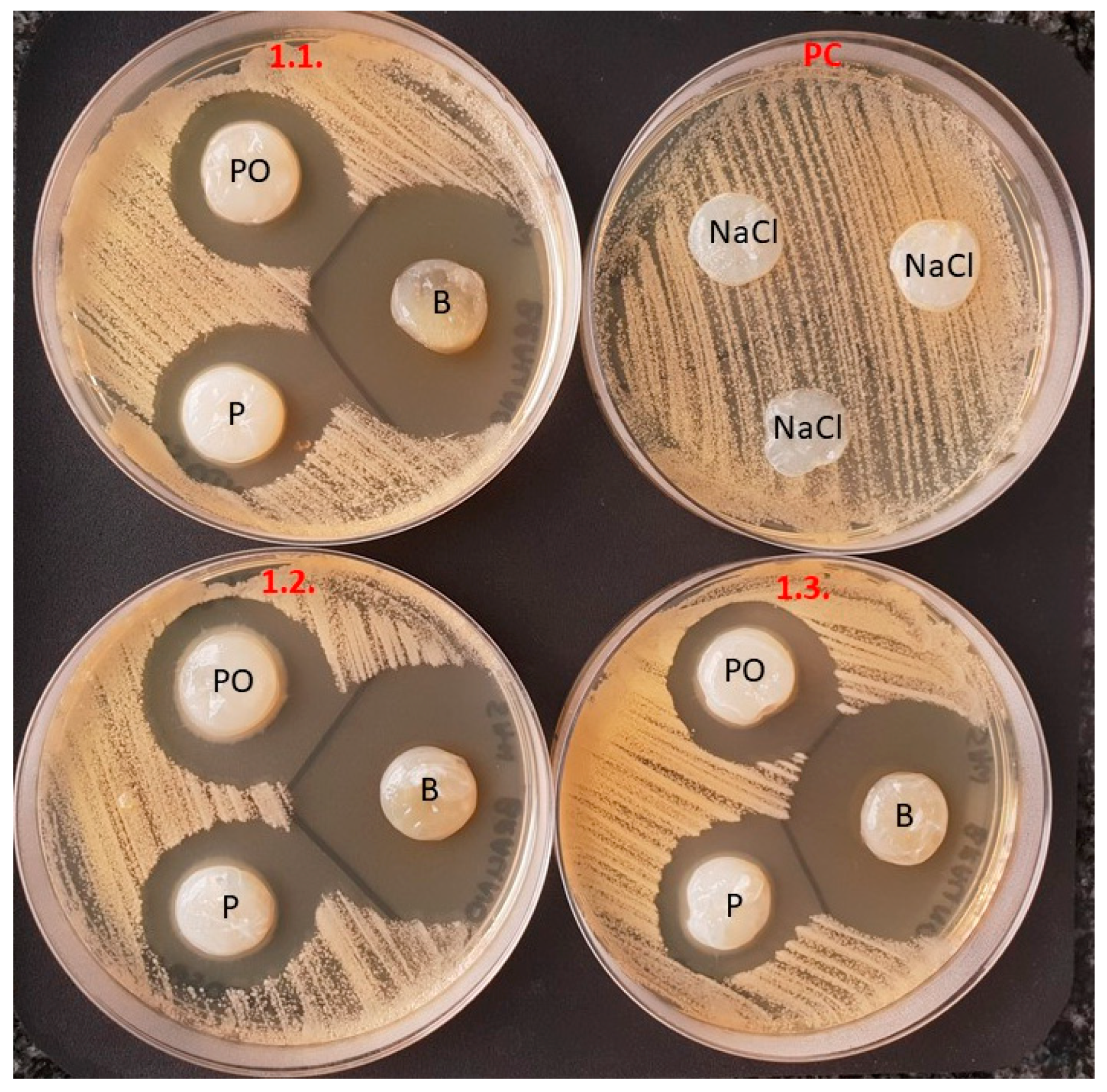 Applsci 09 05321 g005