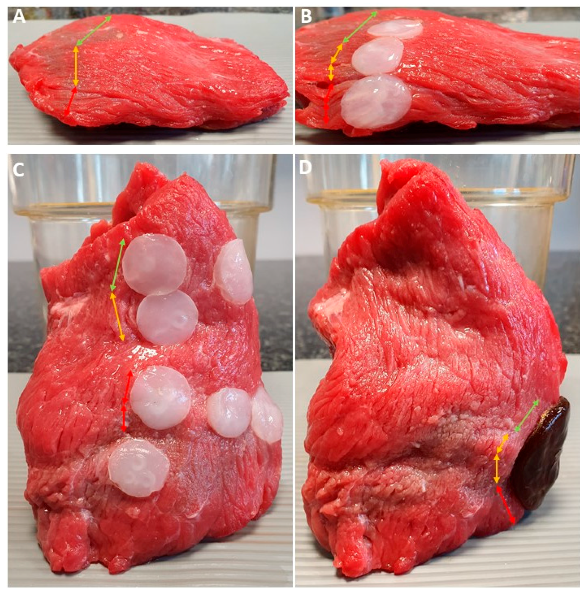 Applsci 09 05321 g010