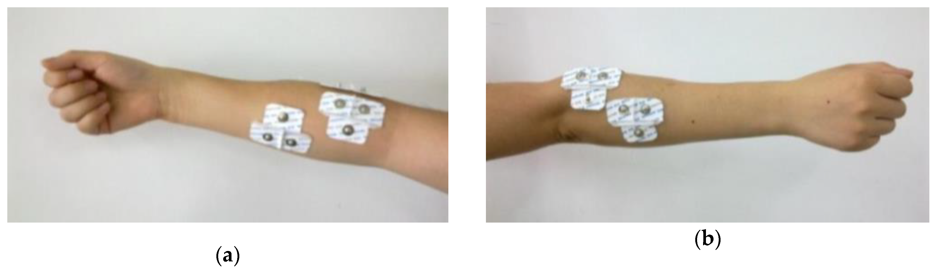 Applsci 09 05343 g001