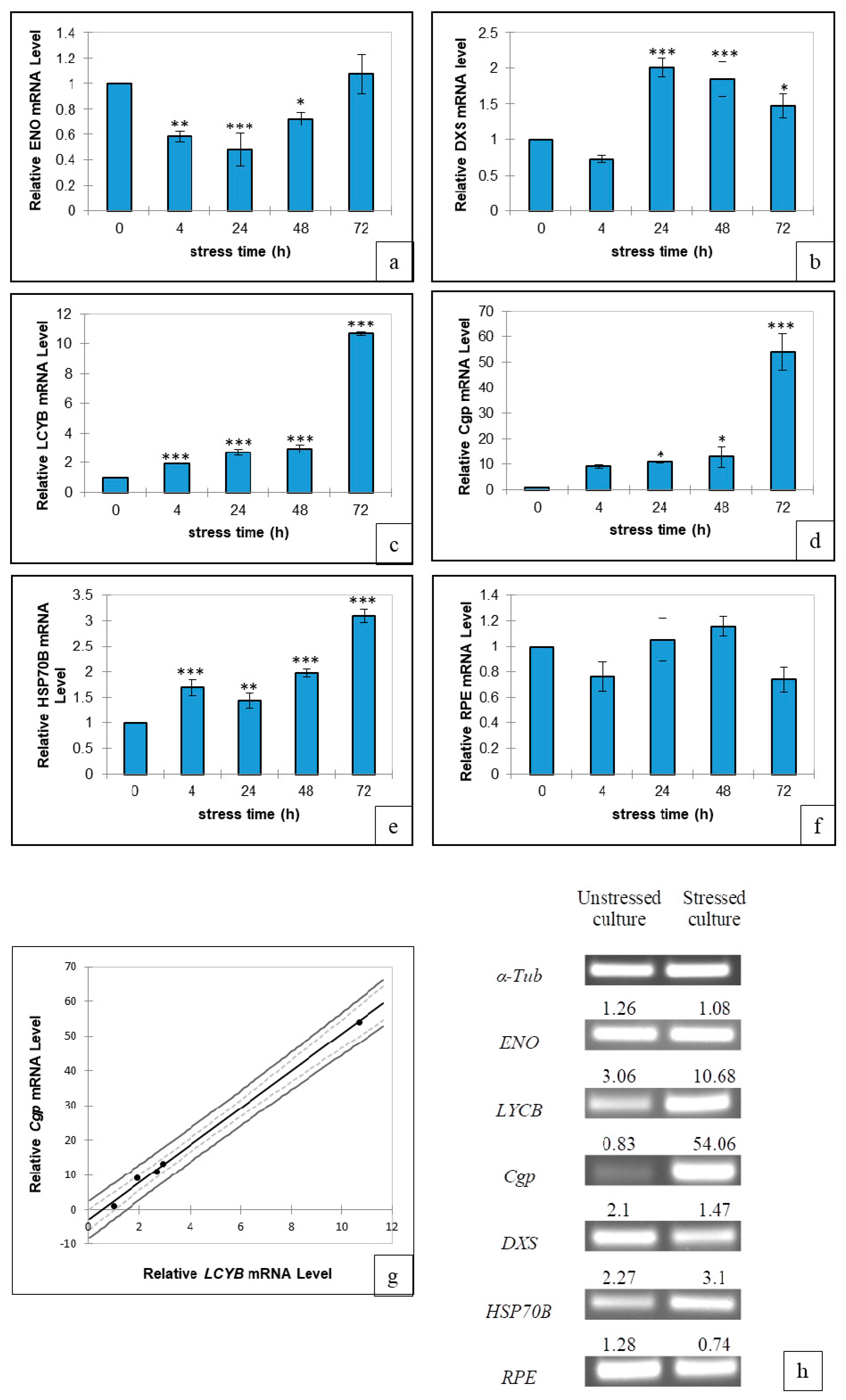 Applsci 09 05389 g003