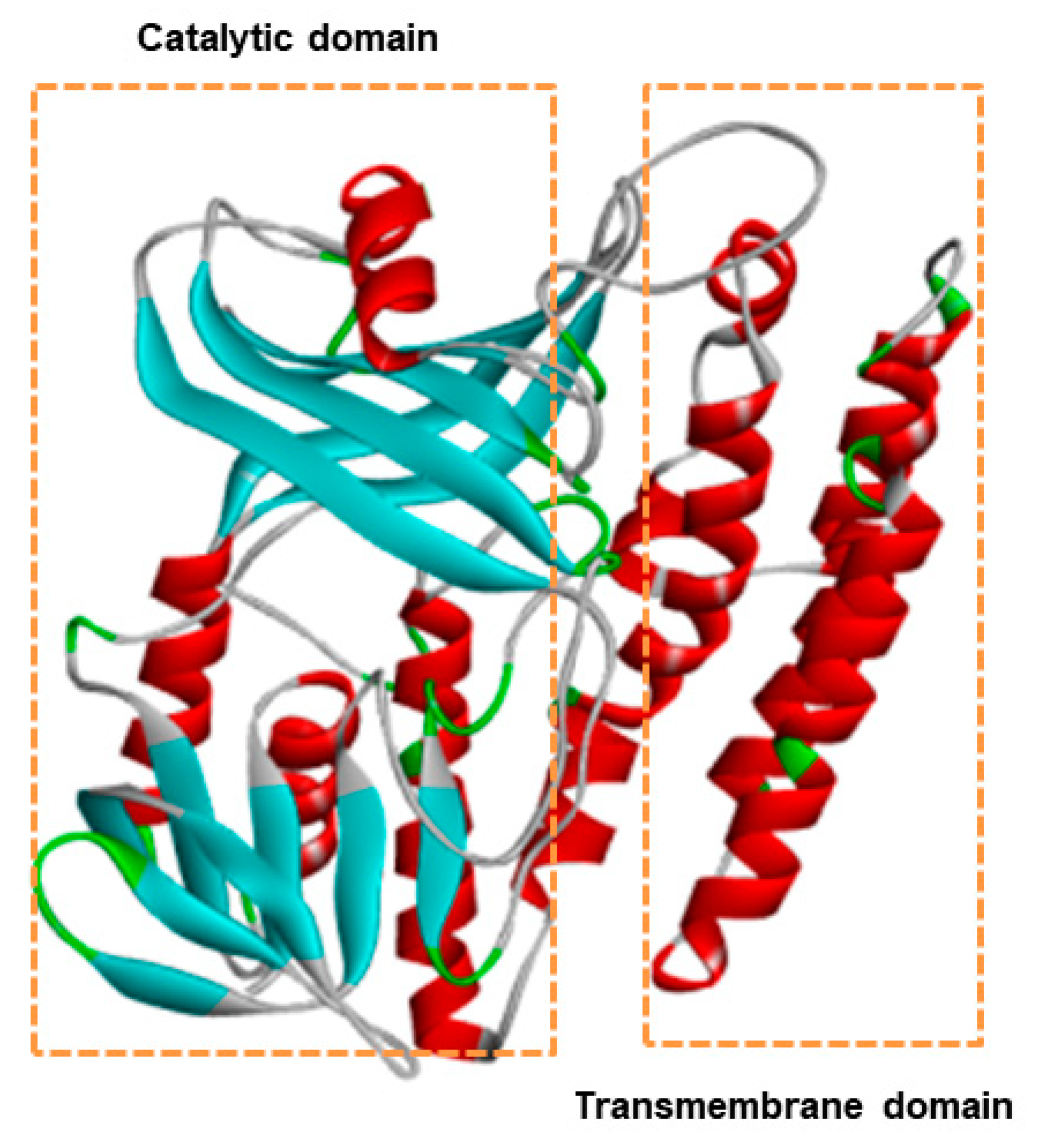 Applsci 09 05389 g005