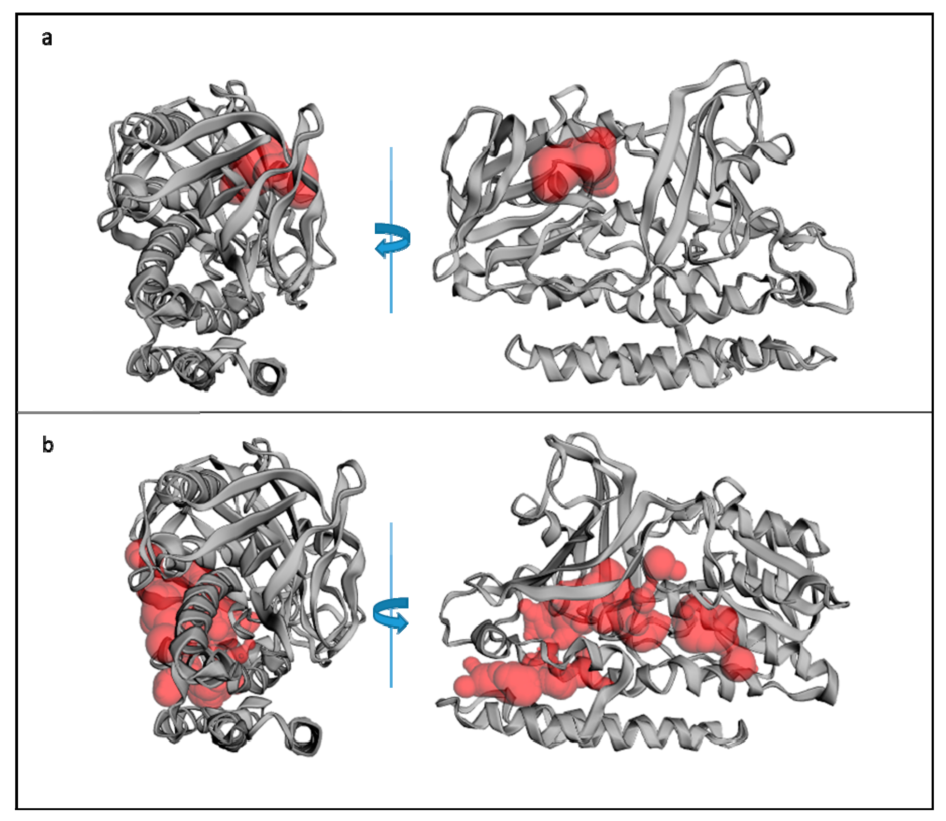 Applsci 09 05389 g006