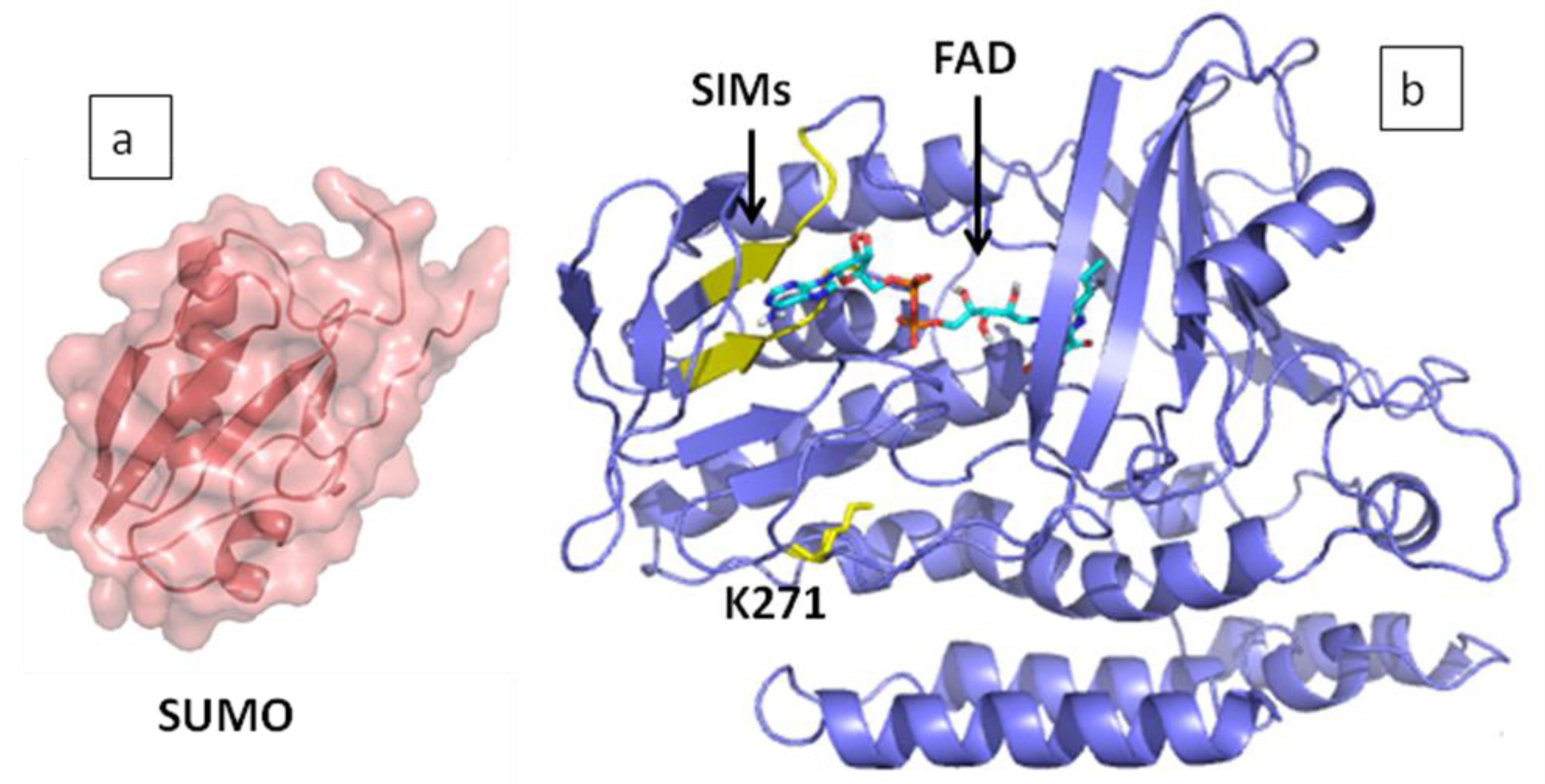 Applsci 09 05389 g007