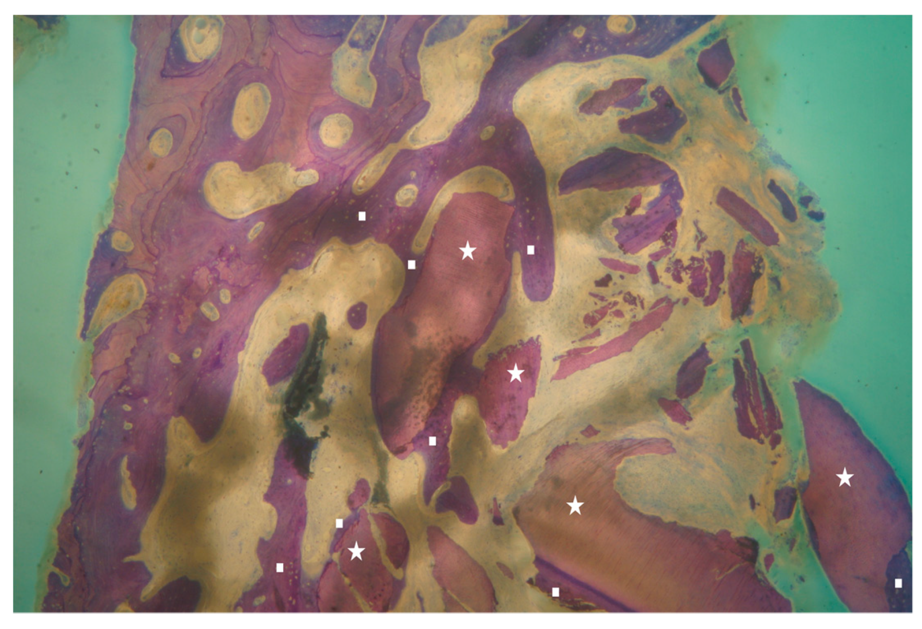 Applsci 09 05396 g006