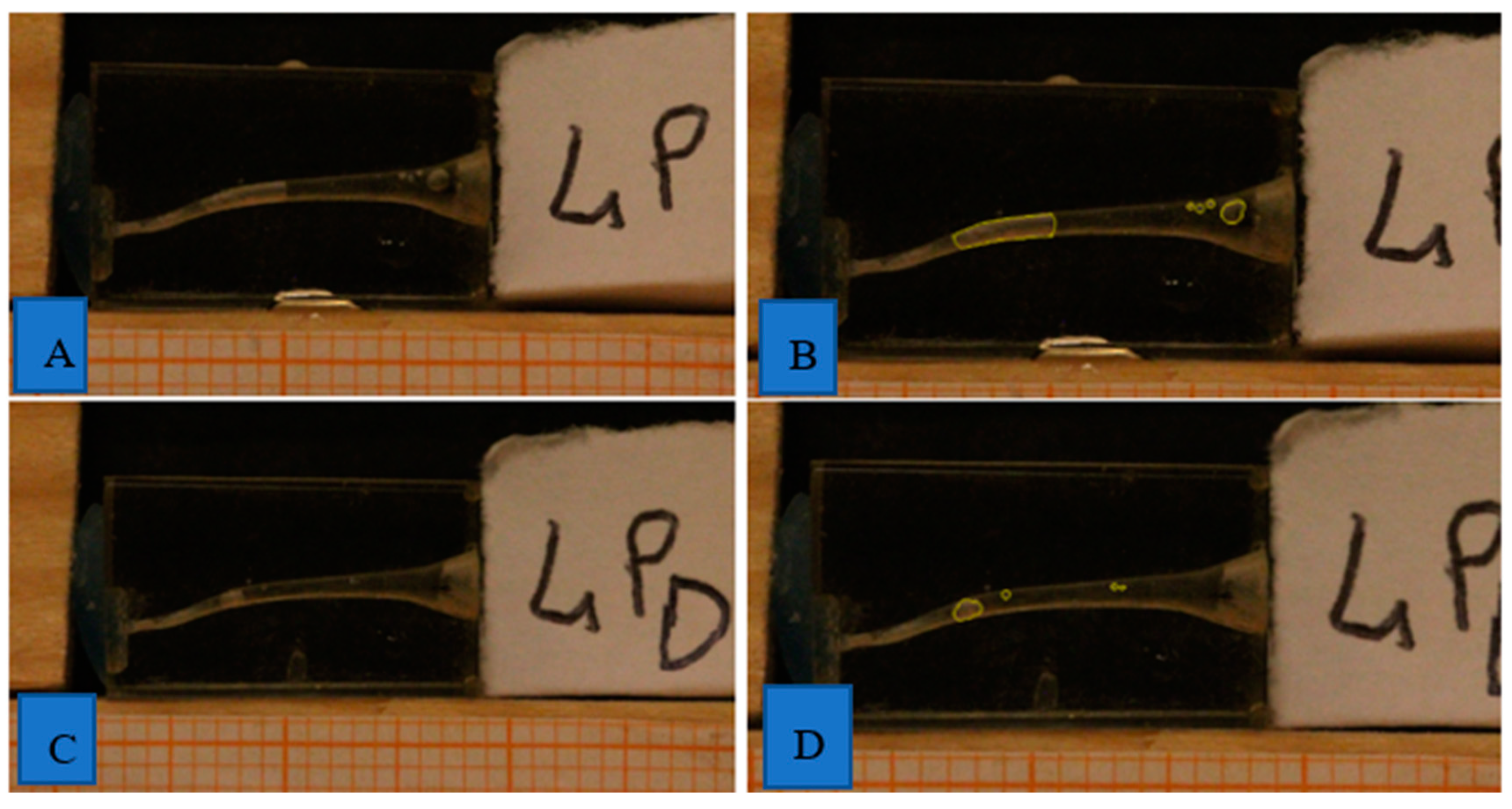 Applsci 09 05411 g002