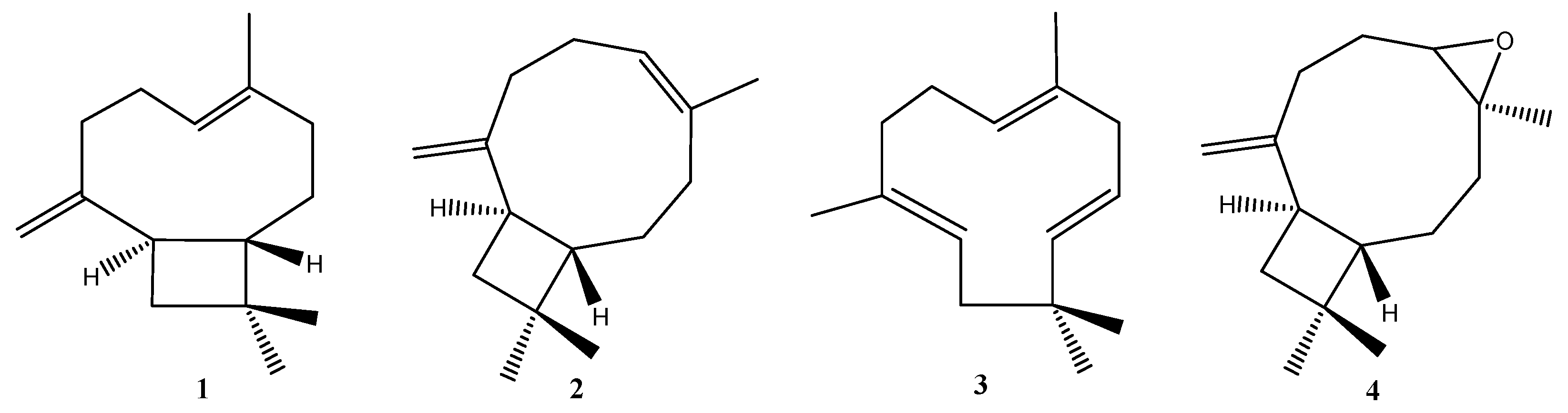 Applsci 09 05420 g001