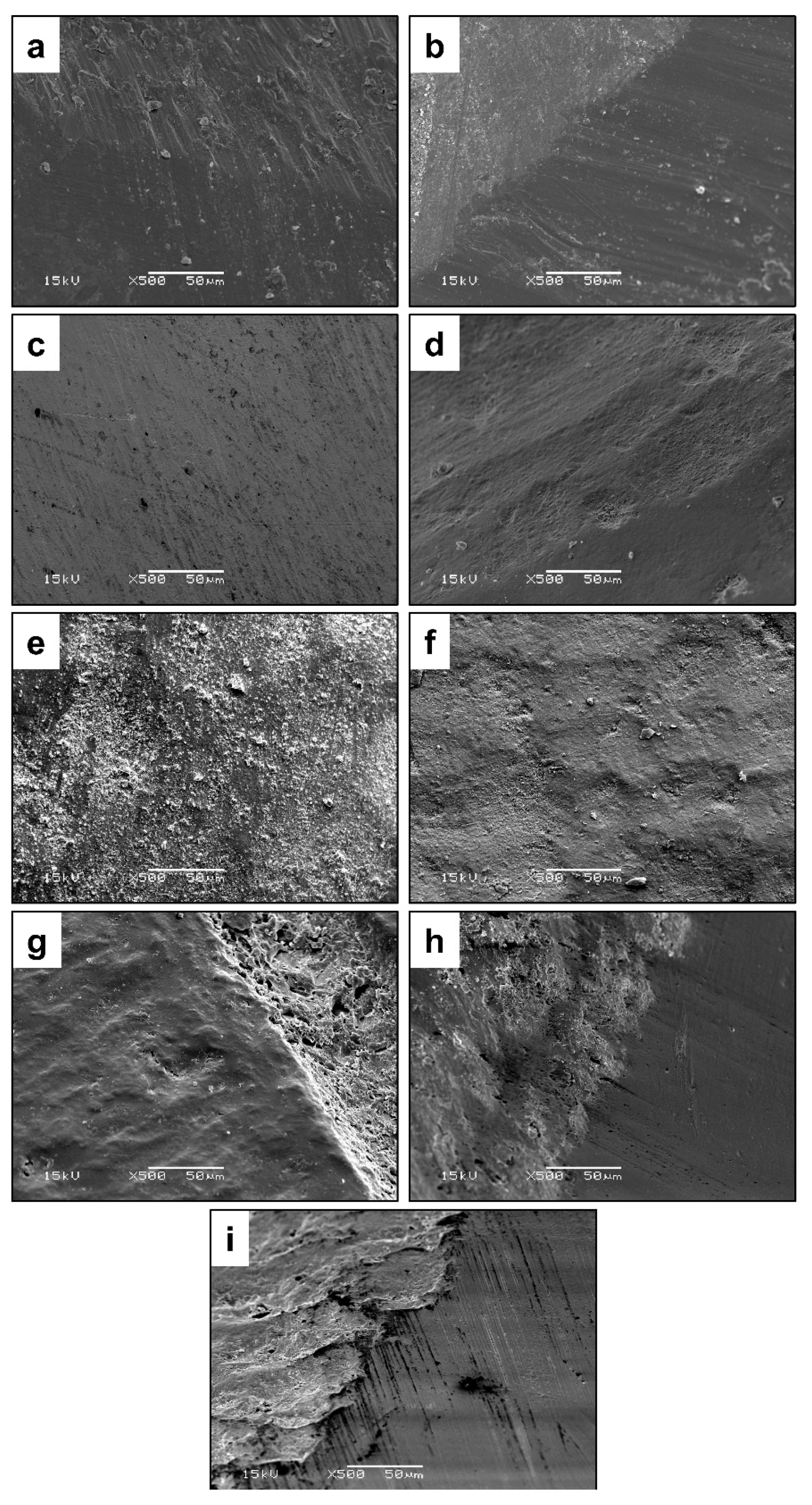 Applsci 09 05455 g013 Applsci 09 05455 g013