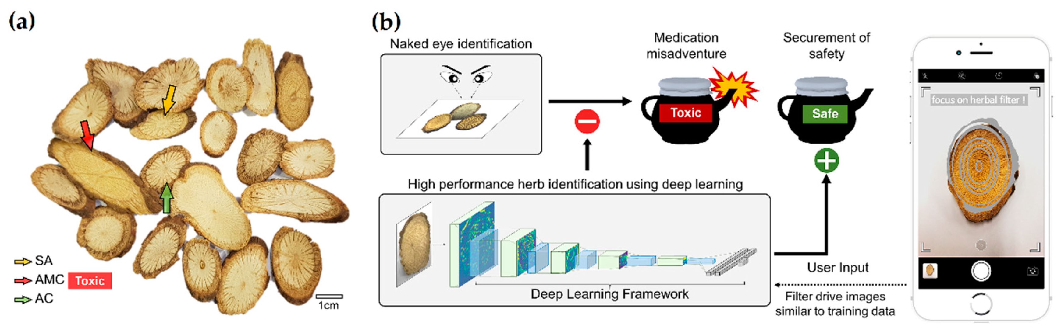 Applsci 09 05456 g001