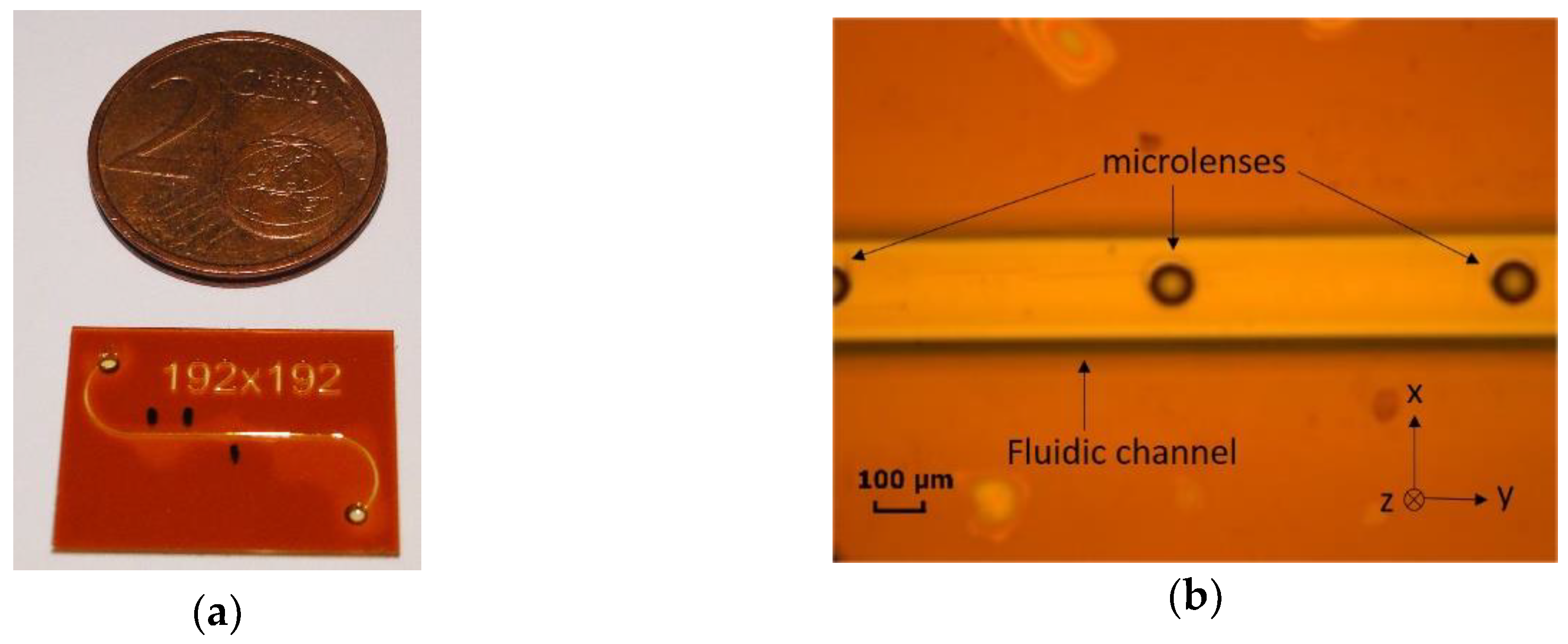 Applsci 09 05484 g005 Applsci 09 05484 g005