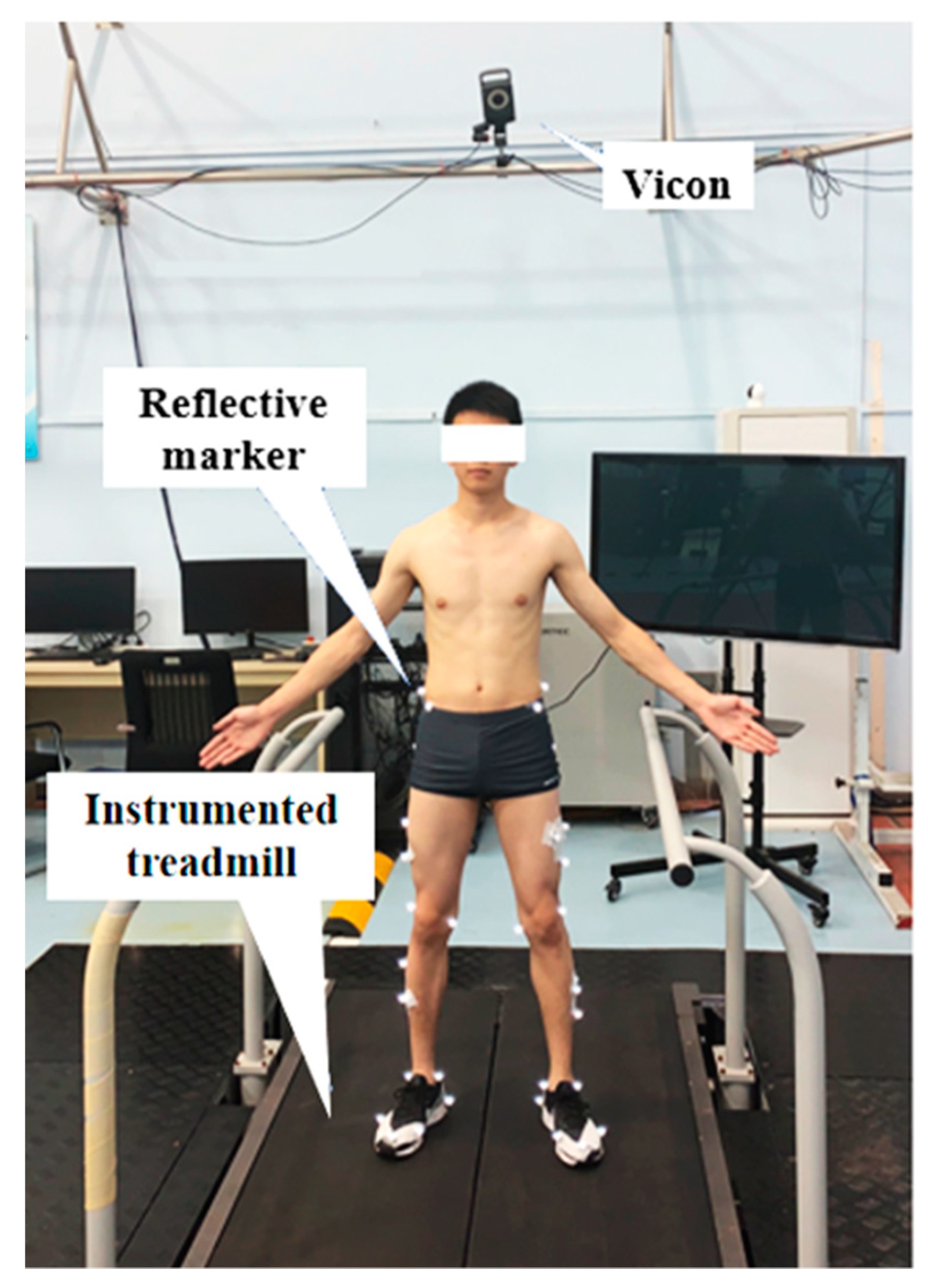 Applsci 09 05493 g001
