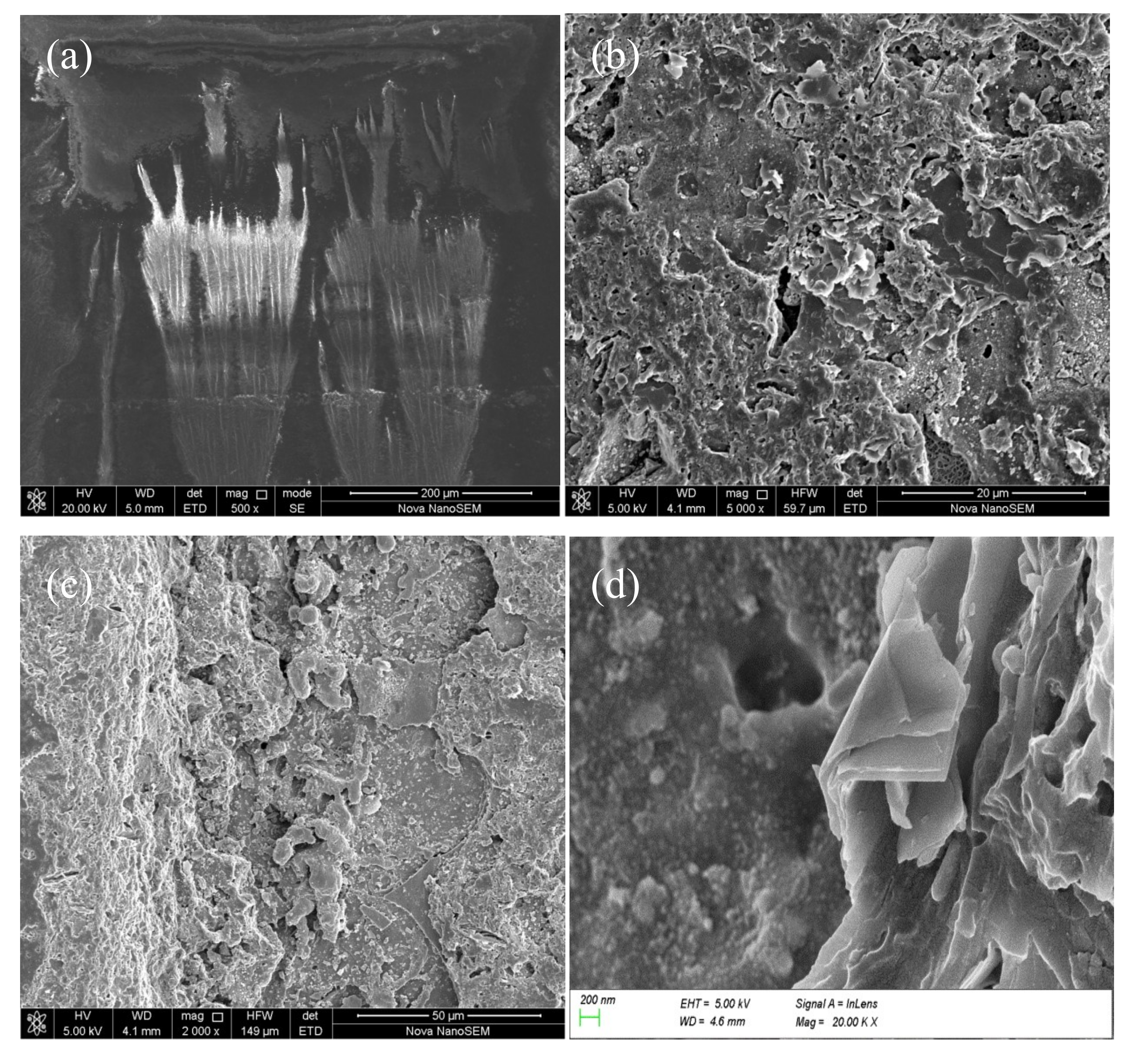 Applsci 09 05500 g012