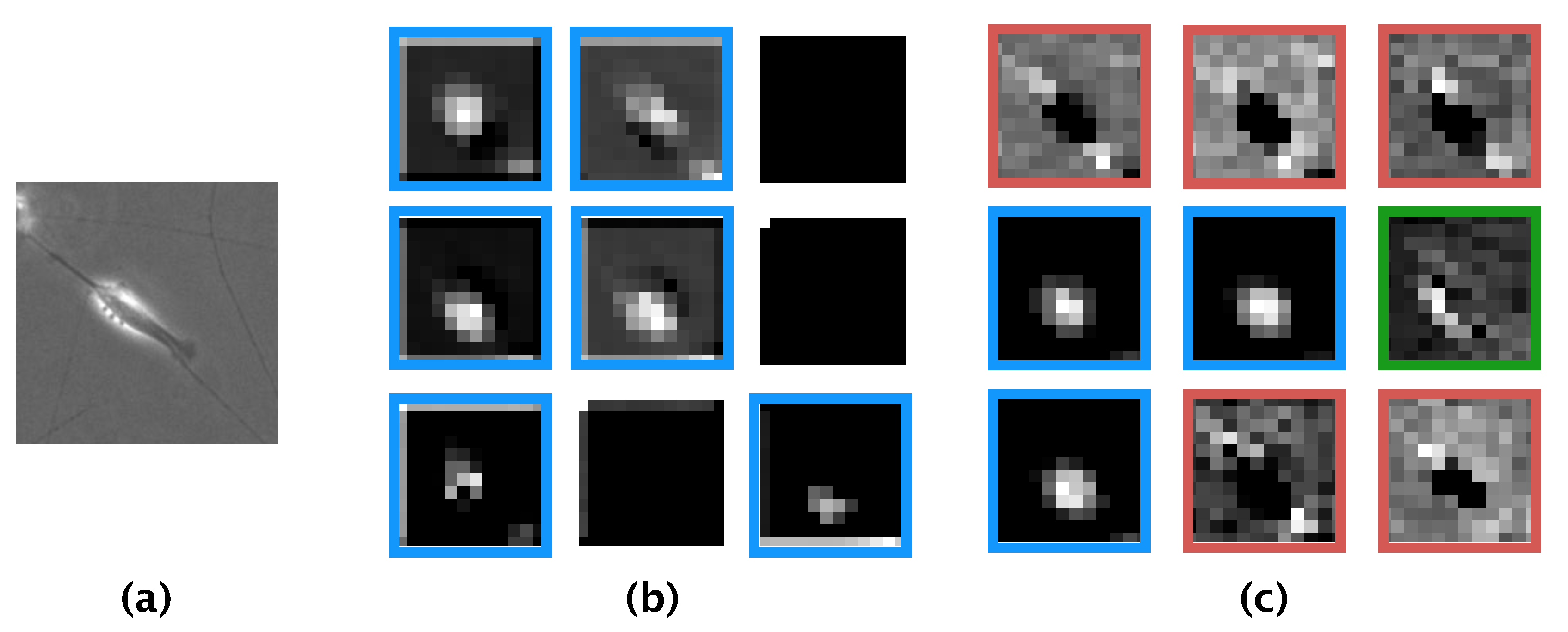 Applsci 09 05503 g008 Applsci 09 05503 g008