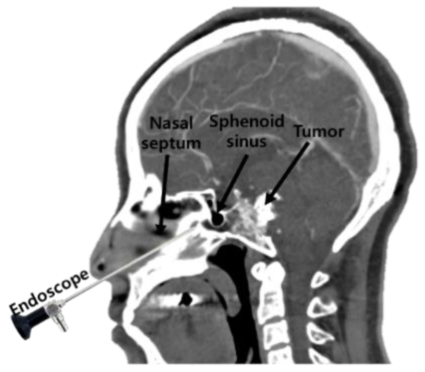 Applsci 09 05540 g001