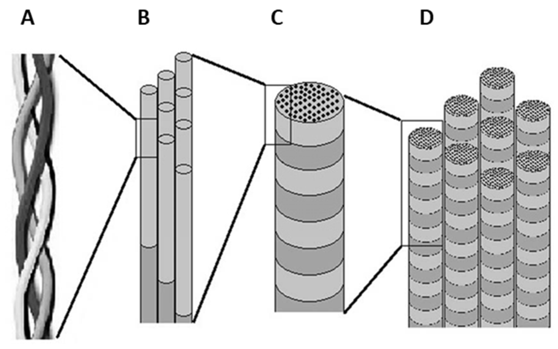 Applsci 10 00065 g007