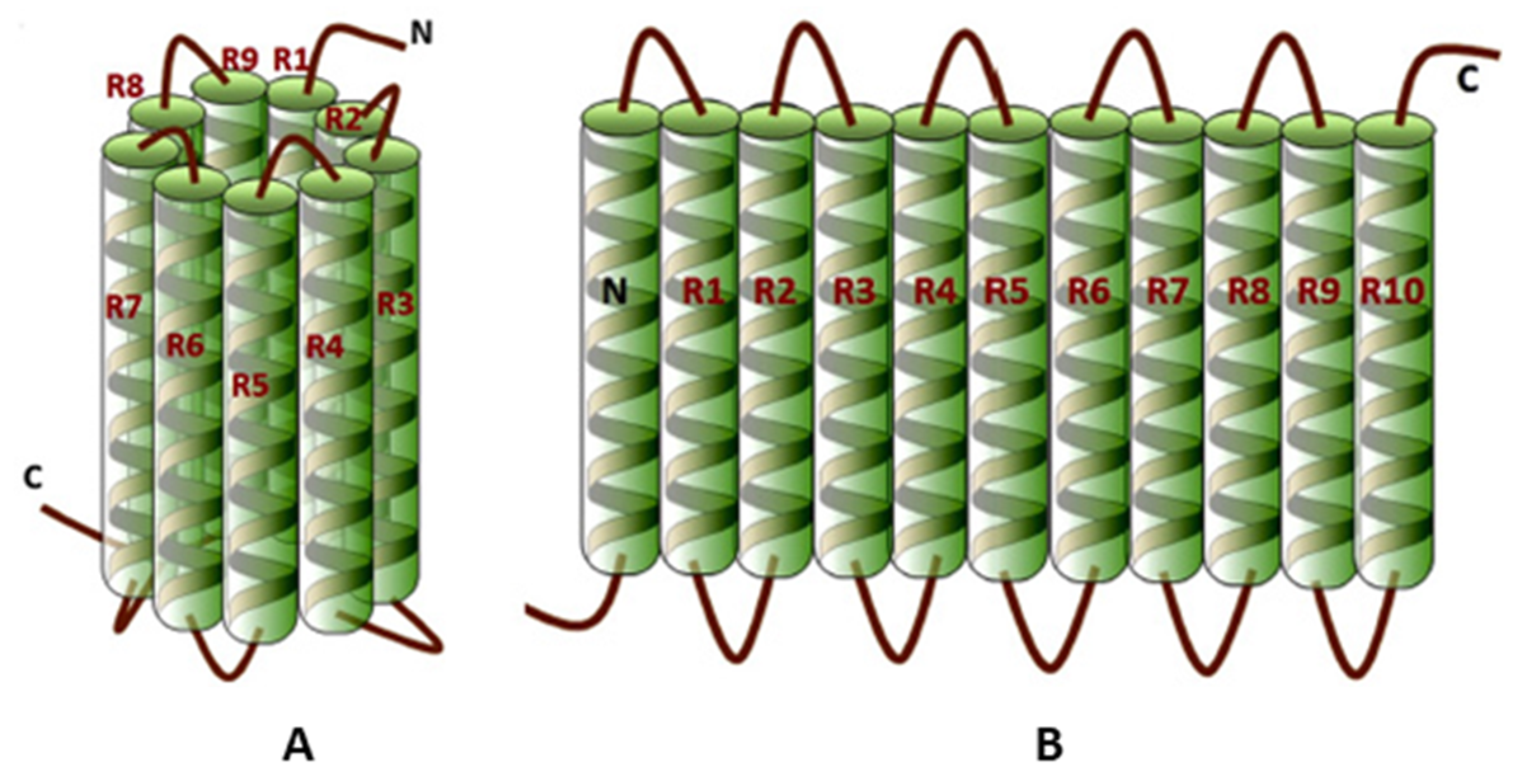 Applsci 10 00065 g010