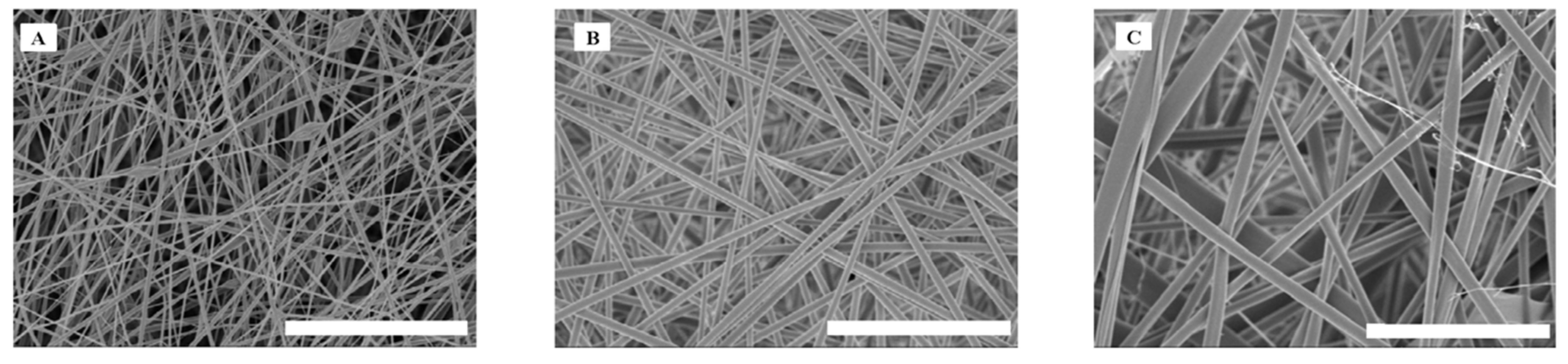 Applsci 10 00065 g012