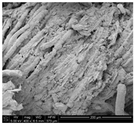 Applsci 10 00116 i001