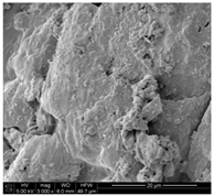 Applsci 10 00116 i002