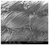 Applsci 10 00116 i003