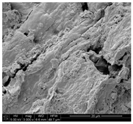 Applsci 10 00116 i004