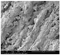 Applsci 10 00116 i005