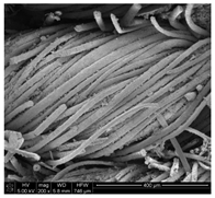 Applsci 10 00116 i006