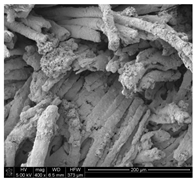 Applsci 10 00116 i007