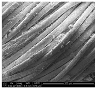 Applsci 10 00116 i009