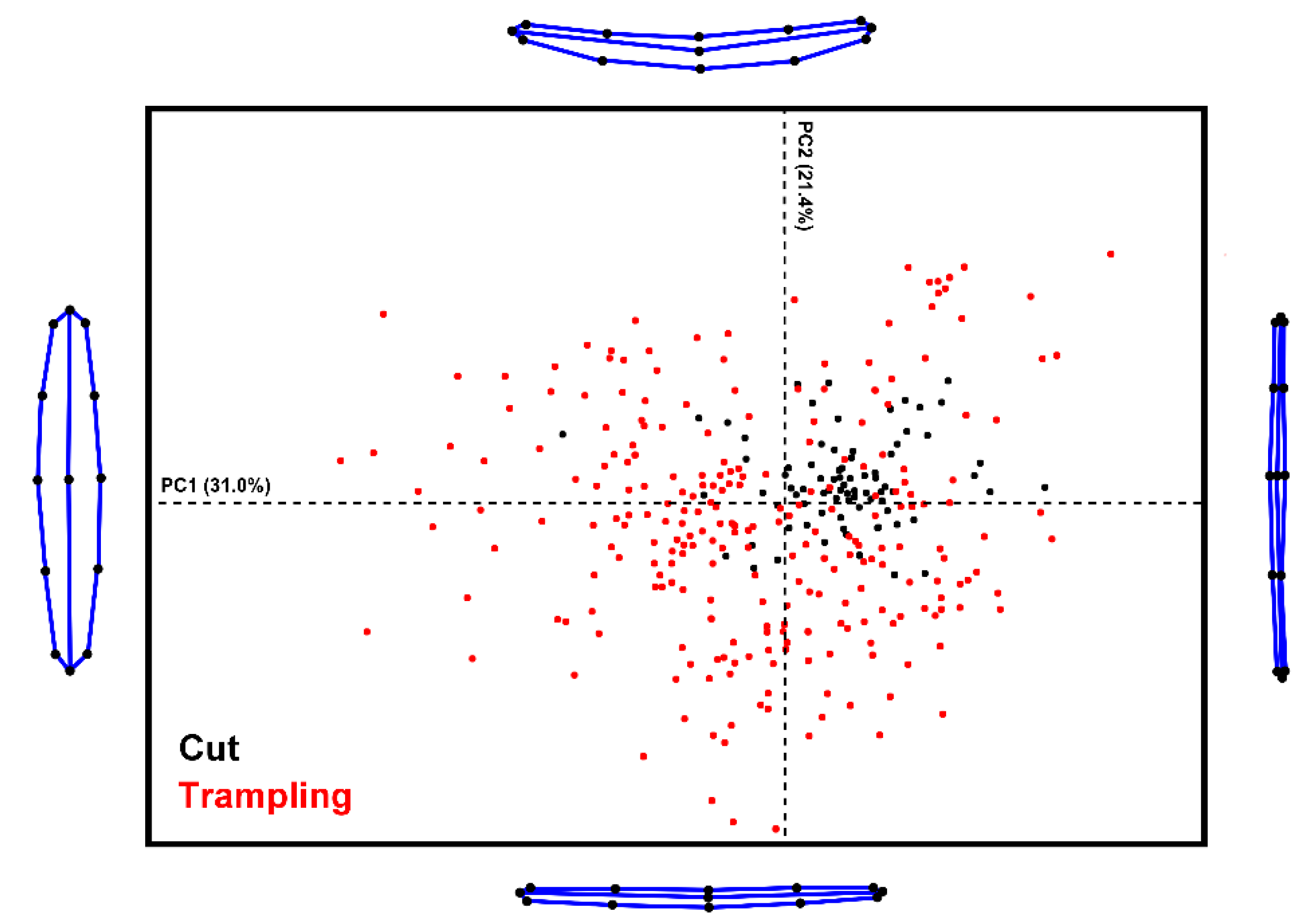 Applsci 10 00150 g003