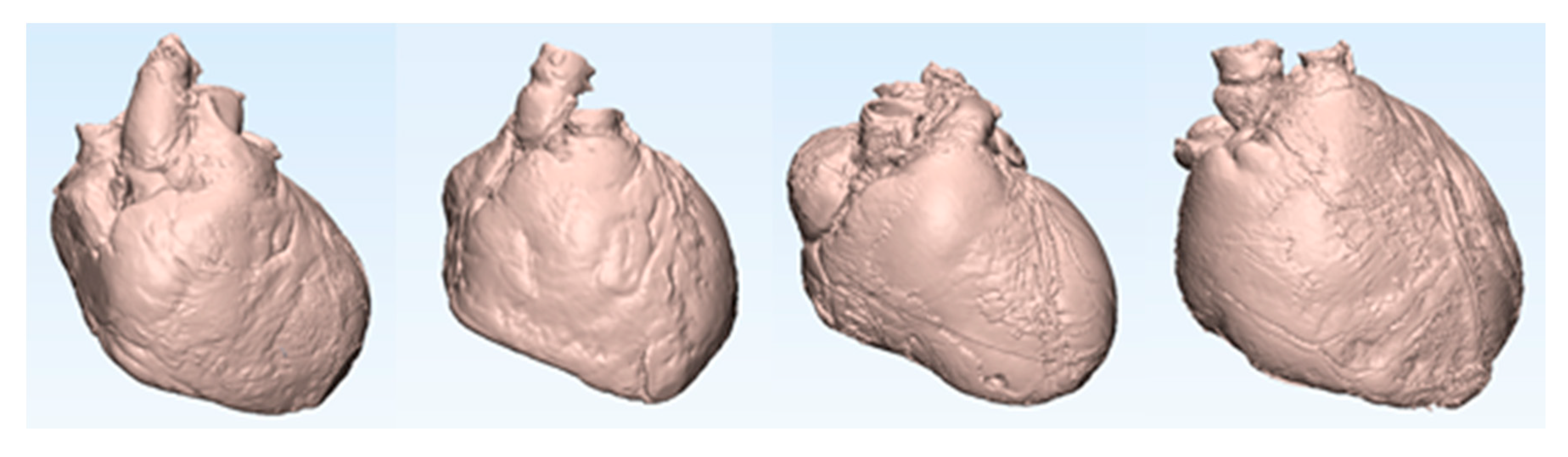 Applsci 10 00175 g003