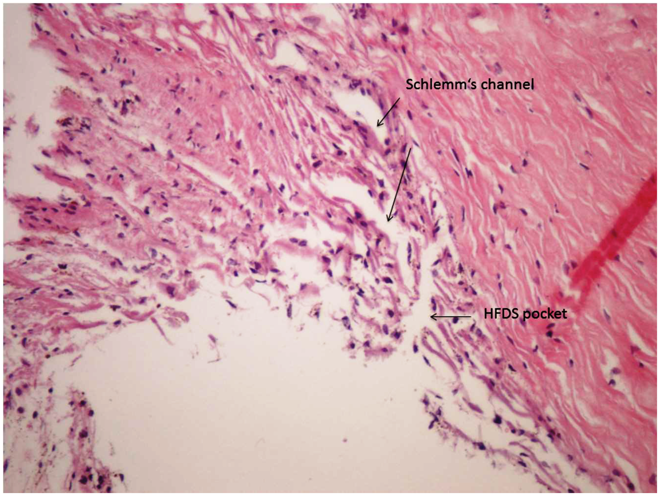 Applsci 10 00218 g003