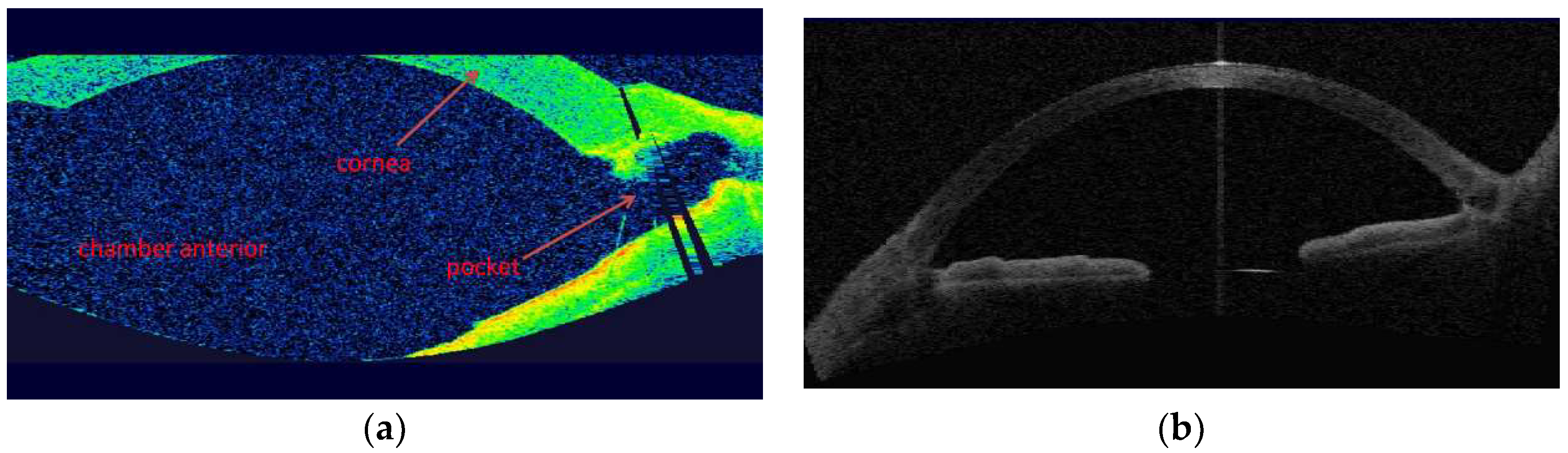 Applsci 10 00218 g005
