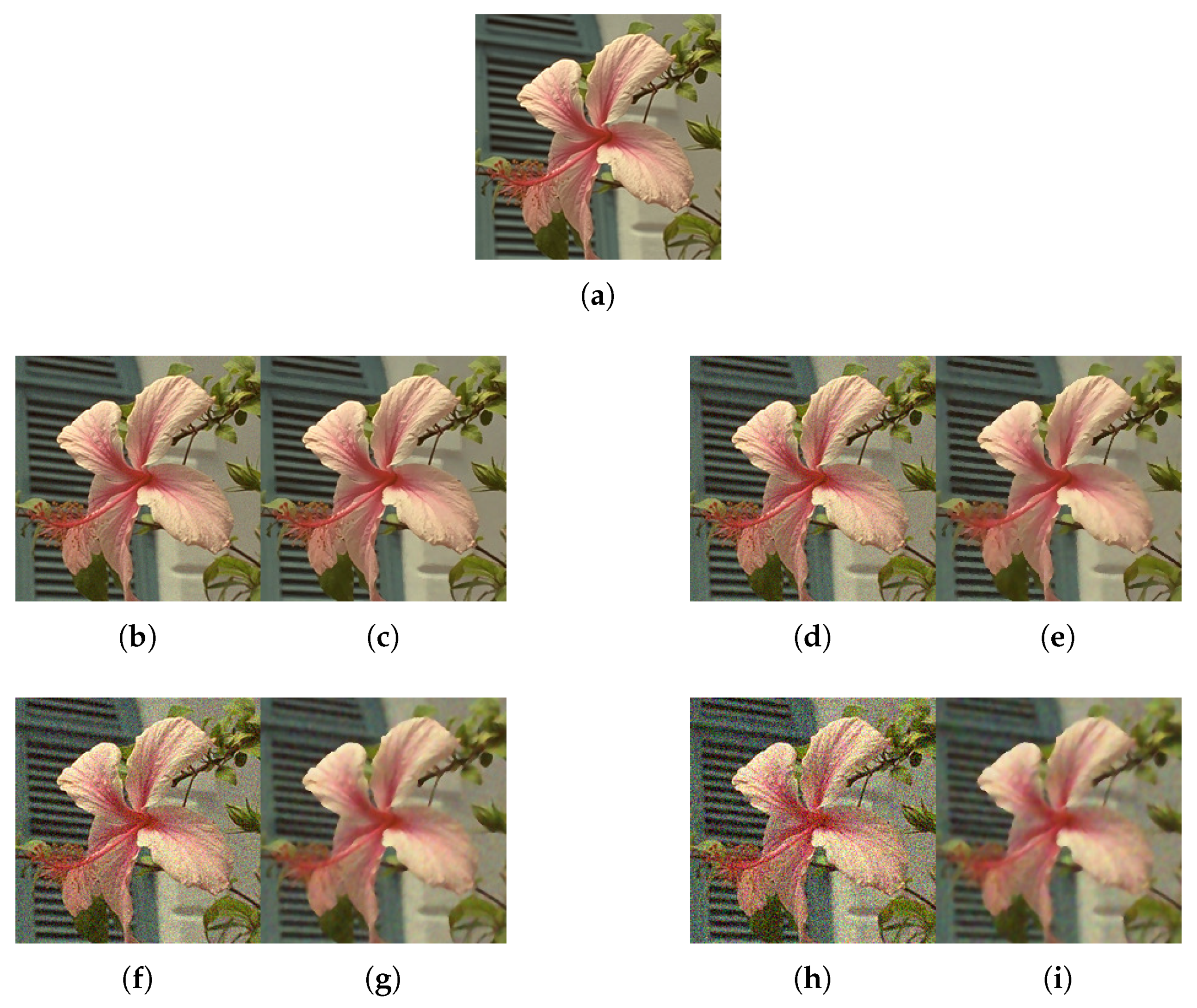 Applsci 10 00243 g011