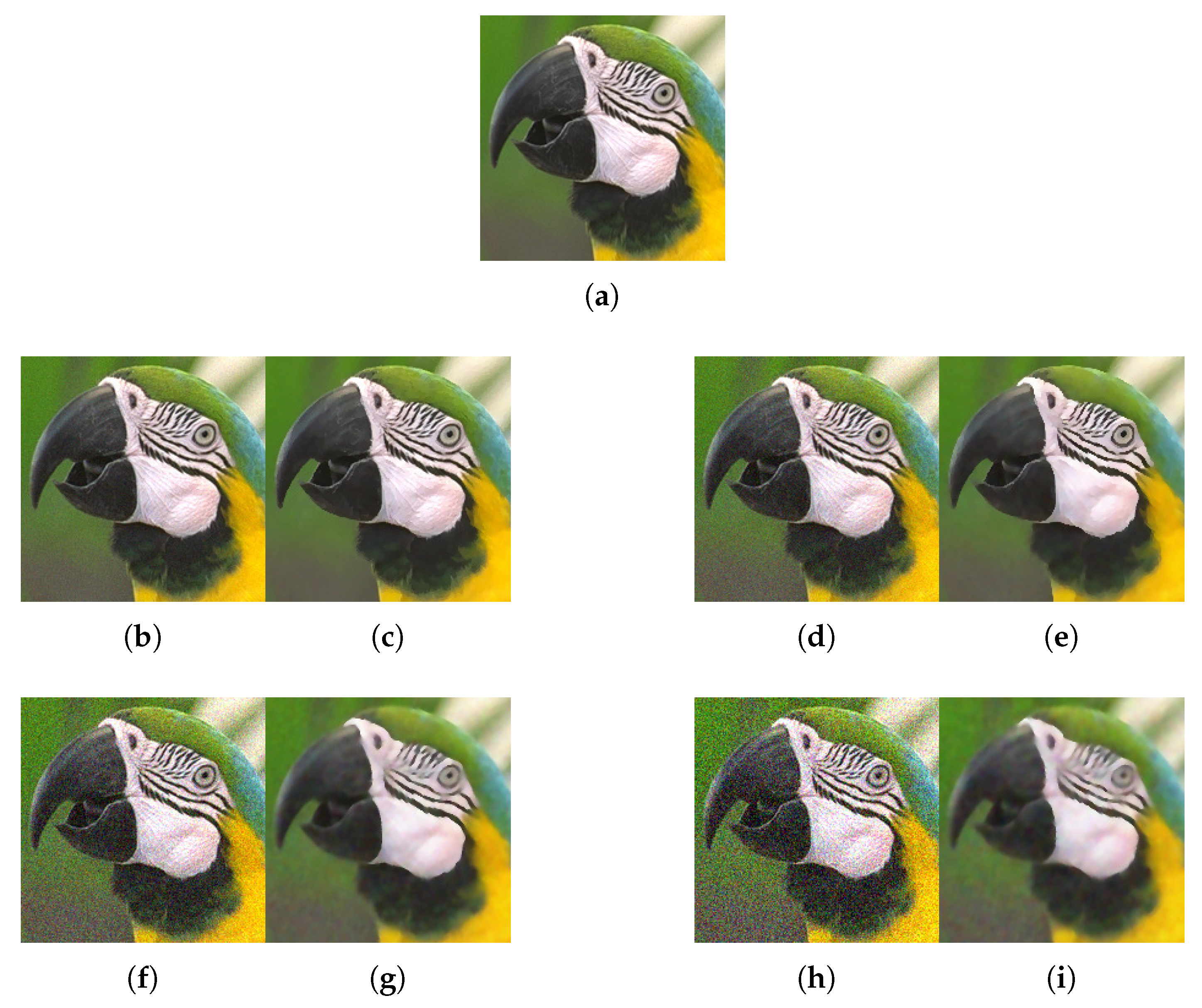 Applsci 10 00243 g012