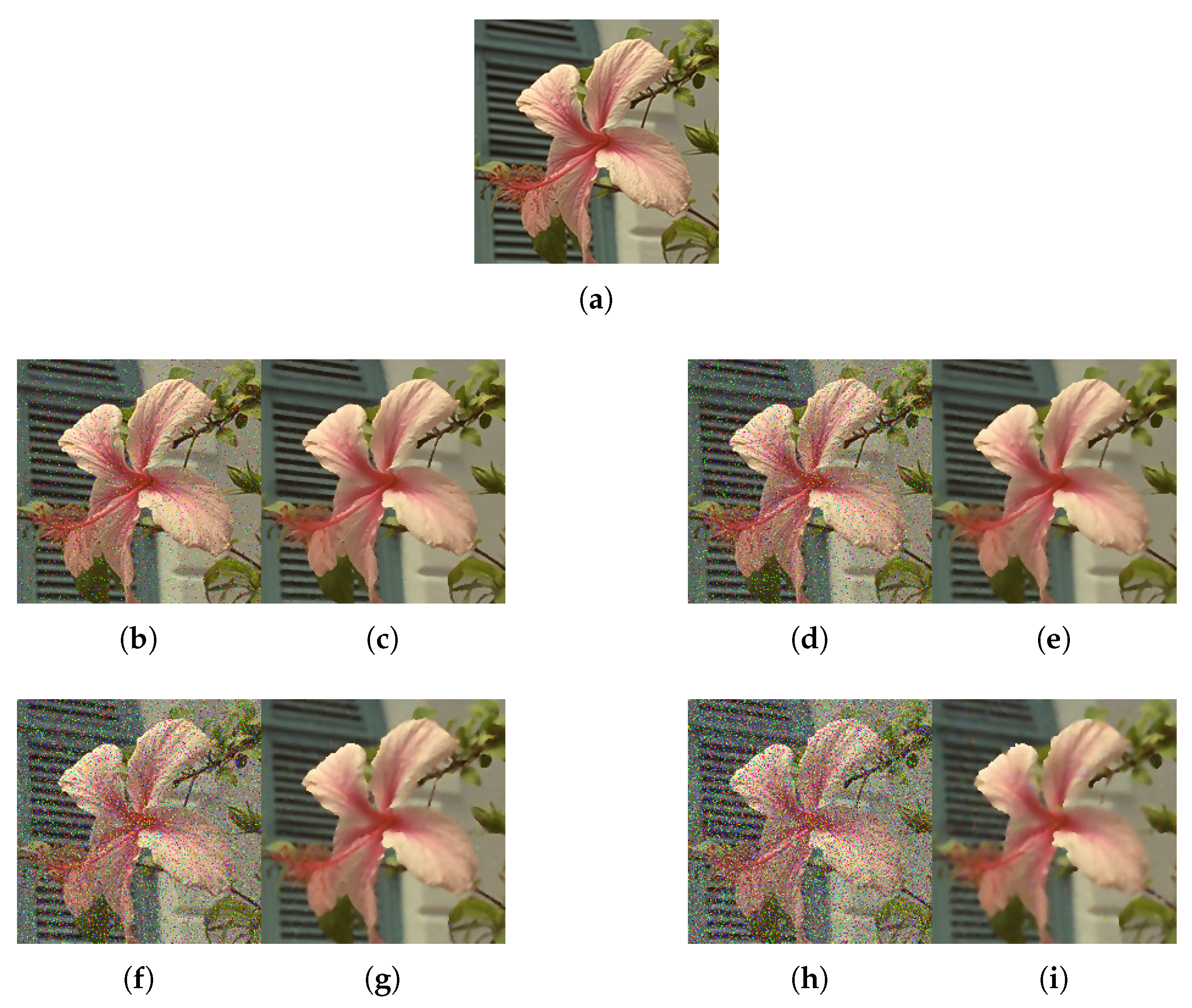 Applsci 10 00243 g013