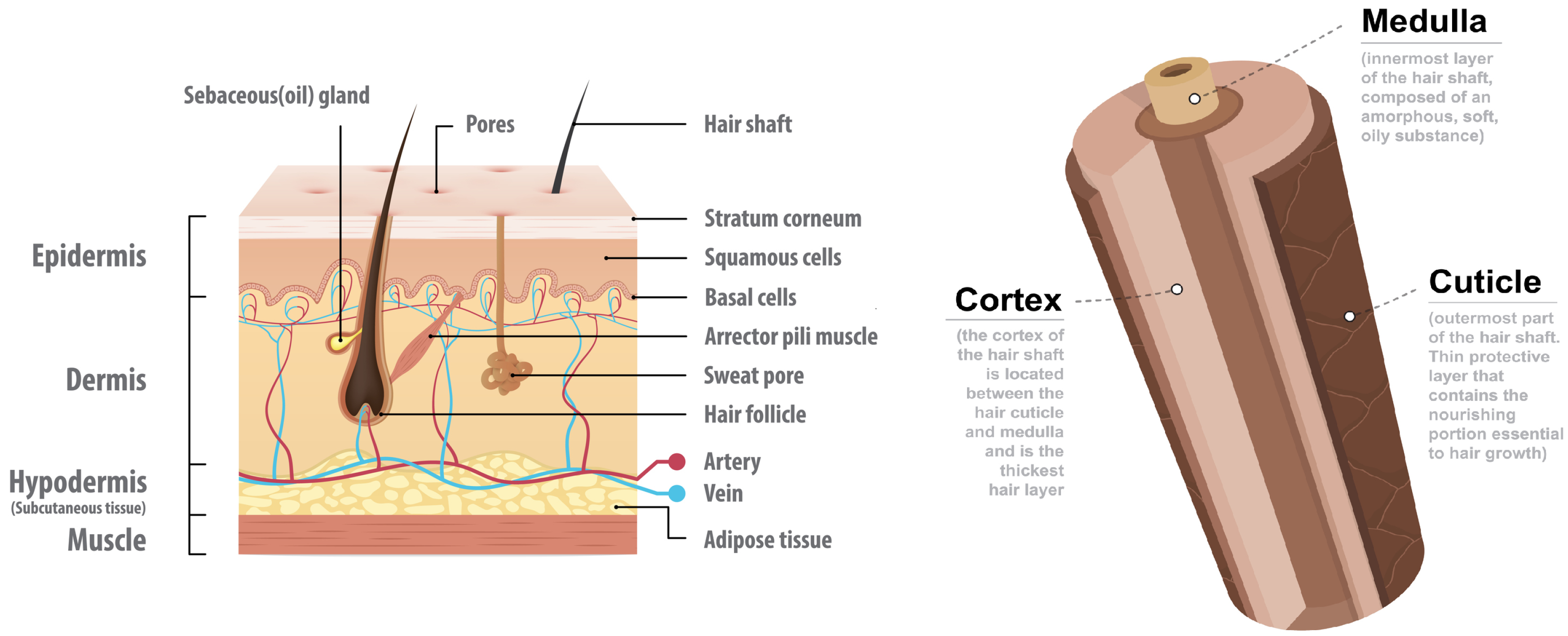 Applsci 10 00256 g001 Applsci 10 00256 g001