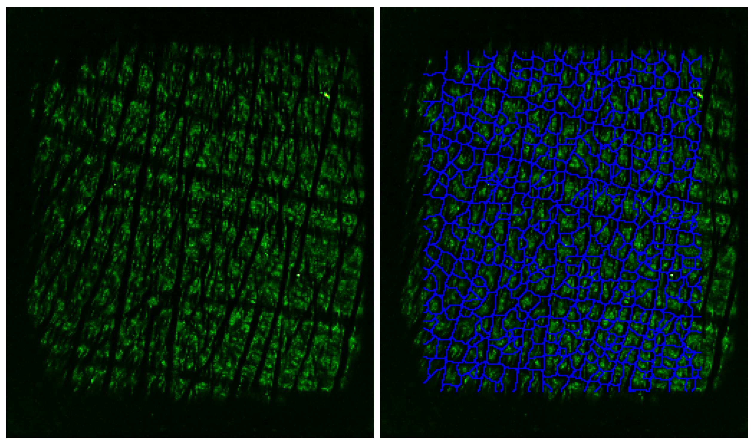 Applsci 10 00256 g005 Applsci 10 00256 g005